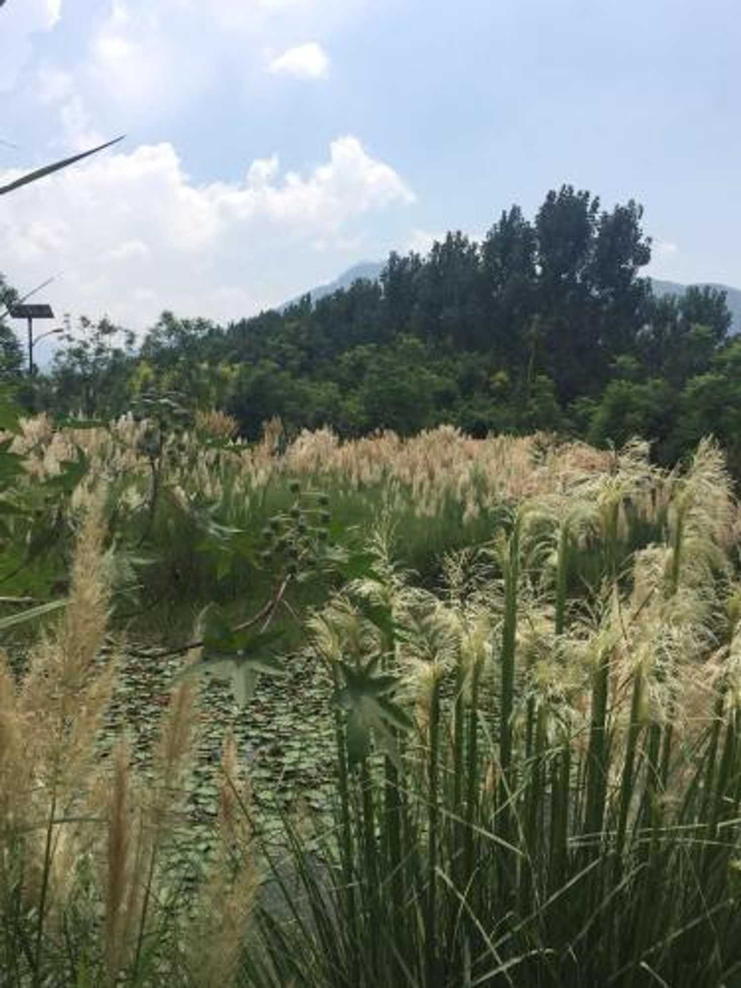 Gift card for 7days Premium Xichang Torch Plaza Qionghai Wetland Park Branch Gift card for 7days Premium Xichang Torch Plaza Qionghai Wetland Park Branch