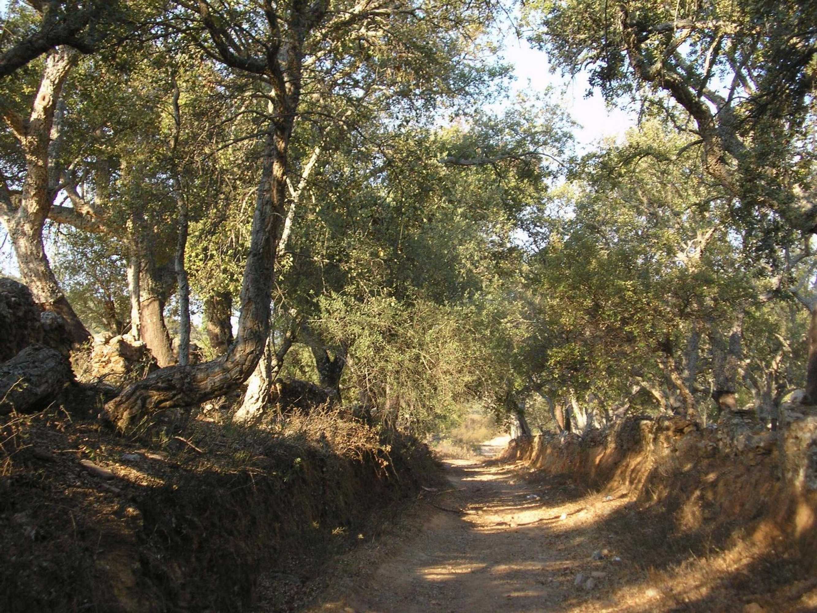 Gift card for Casa Rural Sierra San Mamede Gift card for Casa Rural Sierra San Mamede