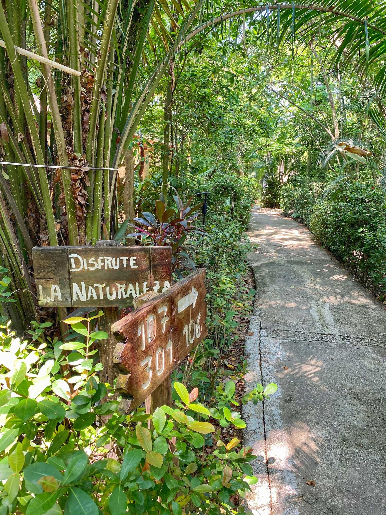 Gift card for Piedra de Agua Hotel Boutique Palenque Gift card for Piedra de Agua Hotel Boutique Palenque