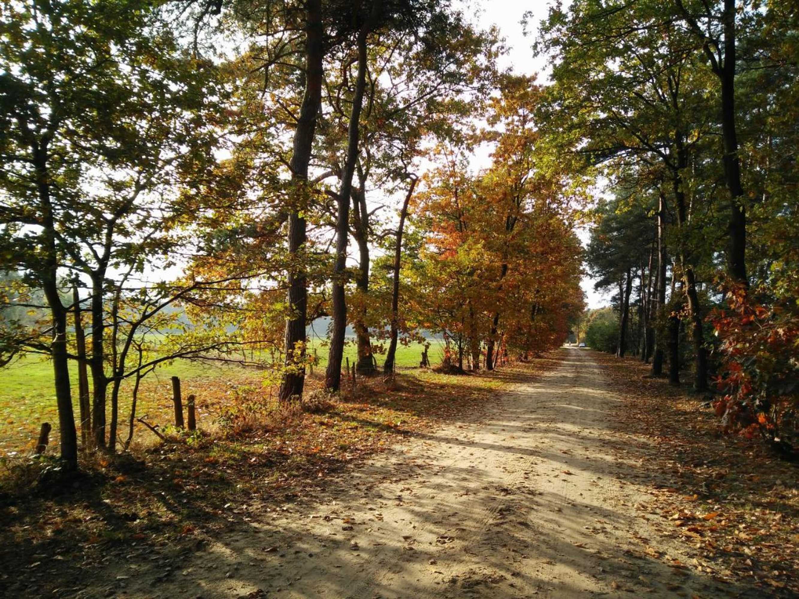 Gift card for B&b Tspijker