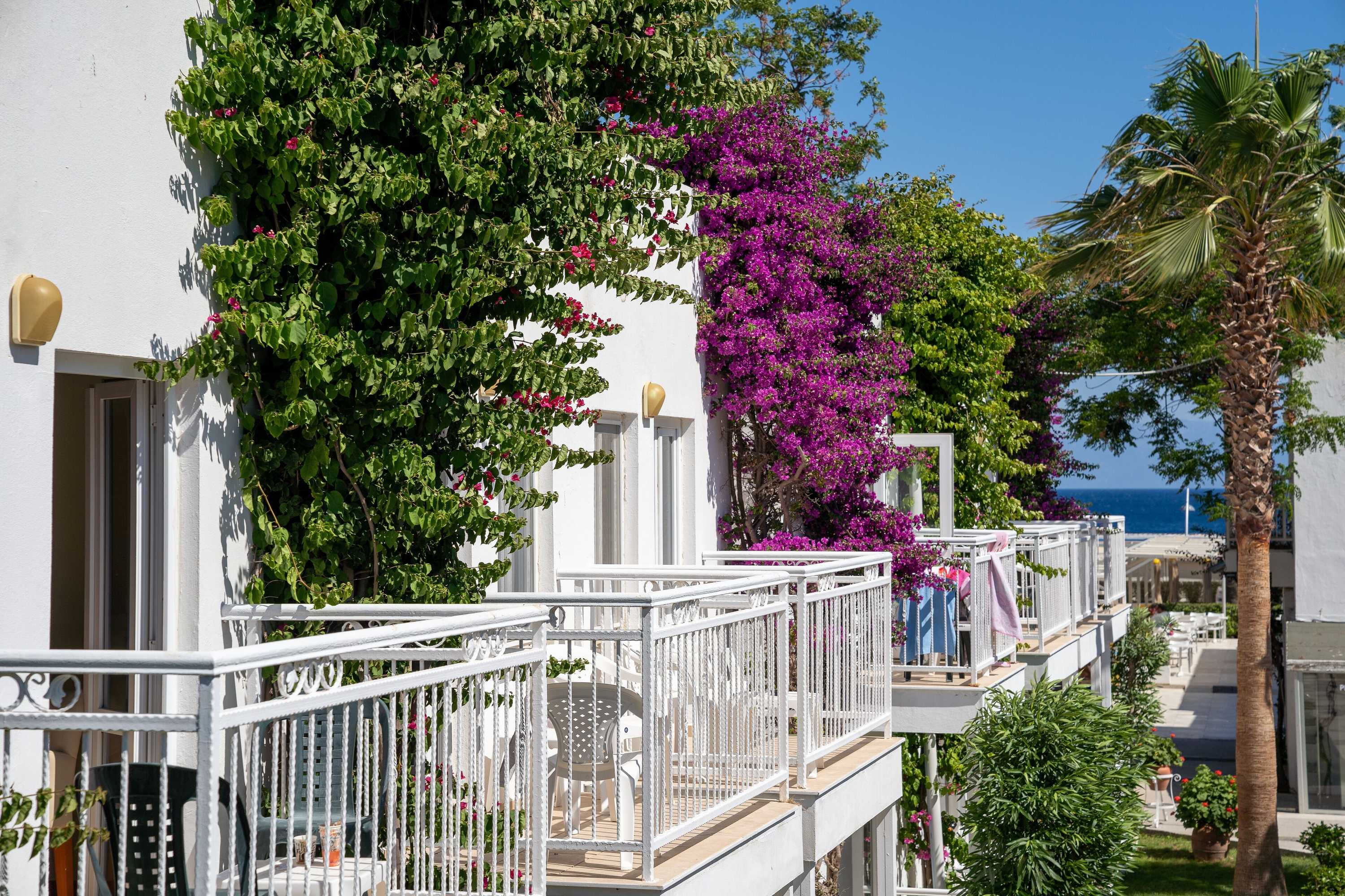 Gift card for Petunya Beach Resort - All Inclusive Gift card for Petunya Beach Resort - All Inclusive