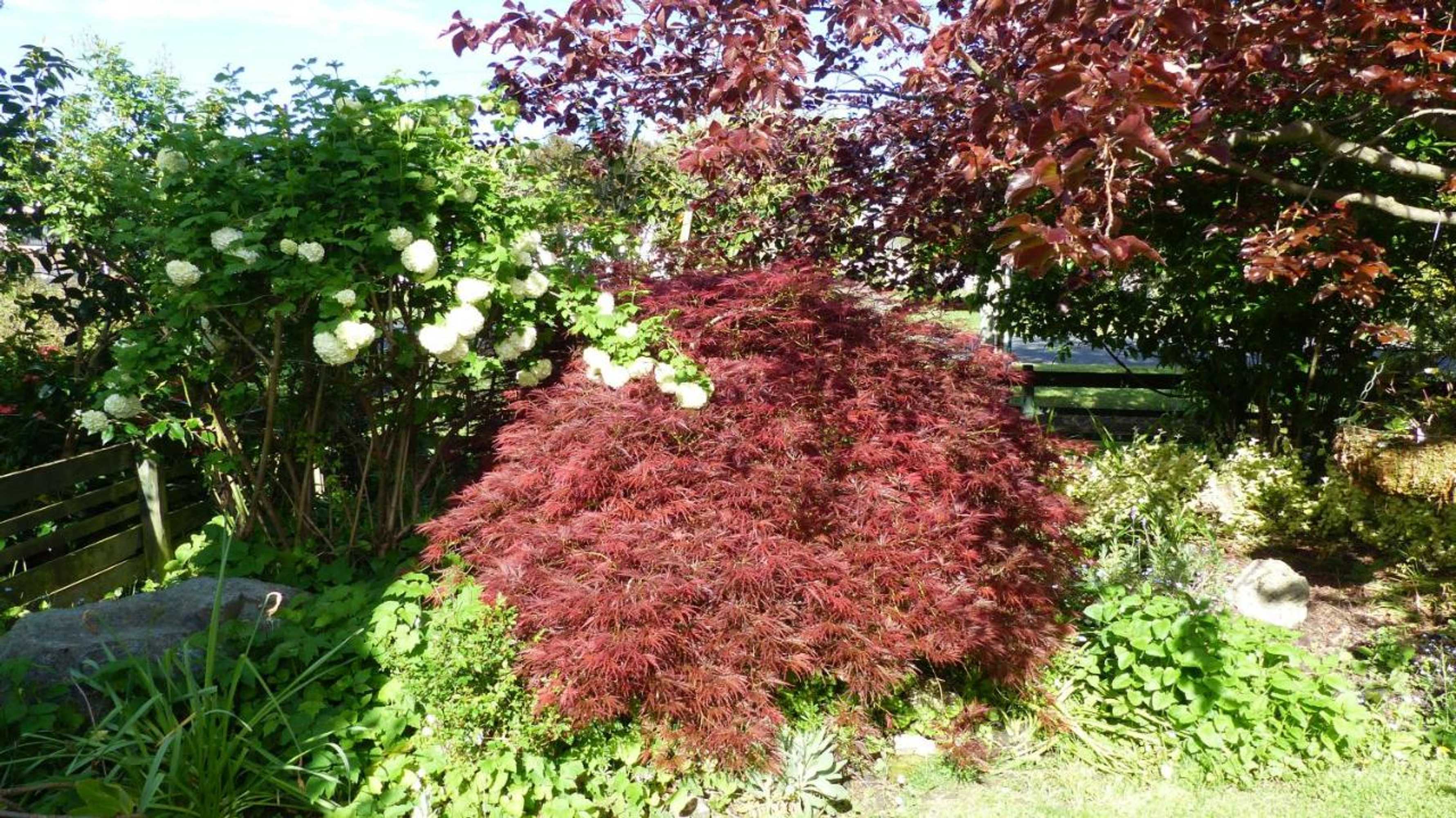 Gift card for Ashcroft Gardens Bed & Breakfast