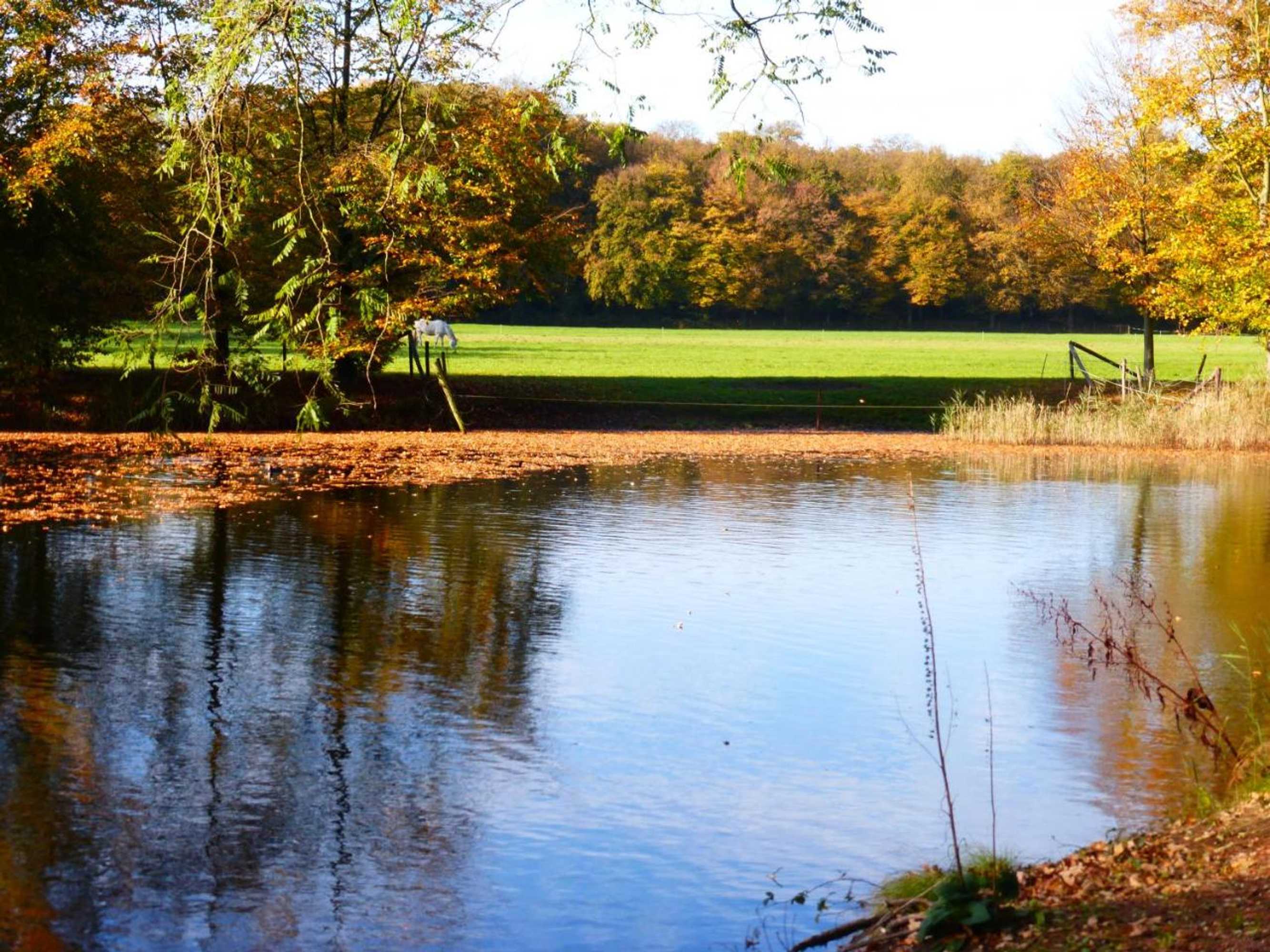 Gift card for De Zanderij