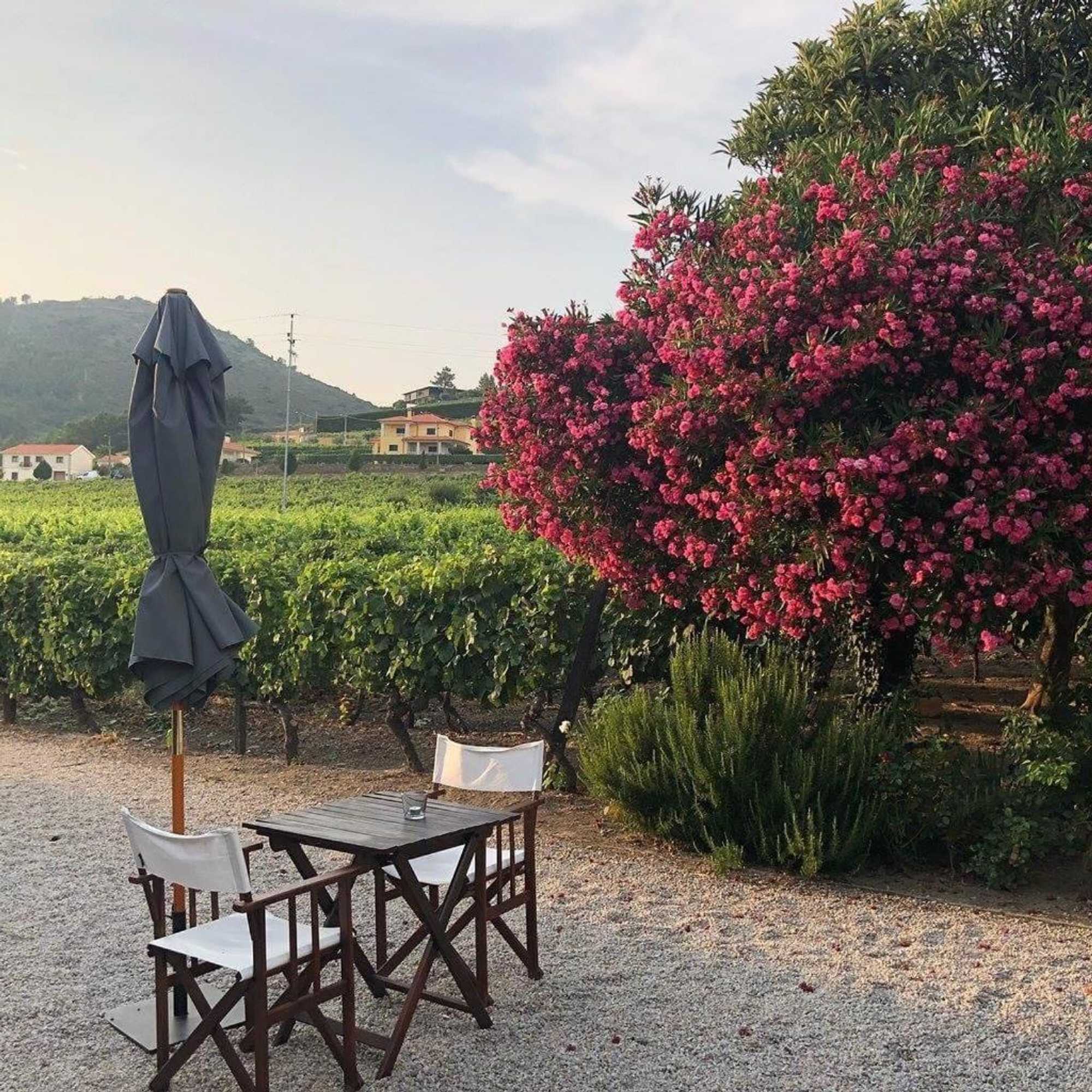 Gift card for Morgadio da Calcada Douro Wine&tourism