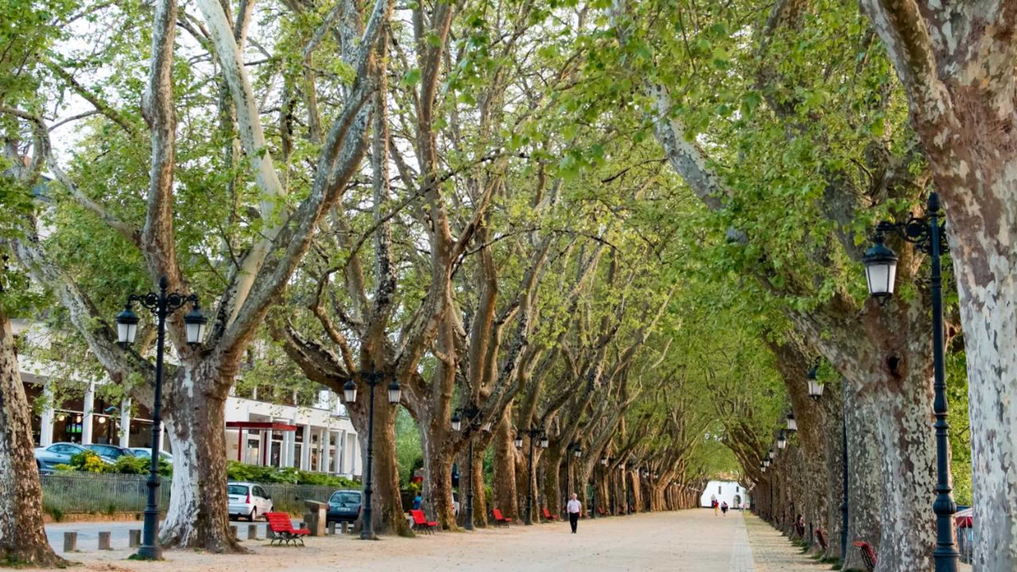 Gift card for Hotel Império do Norte