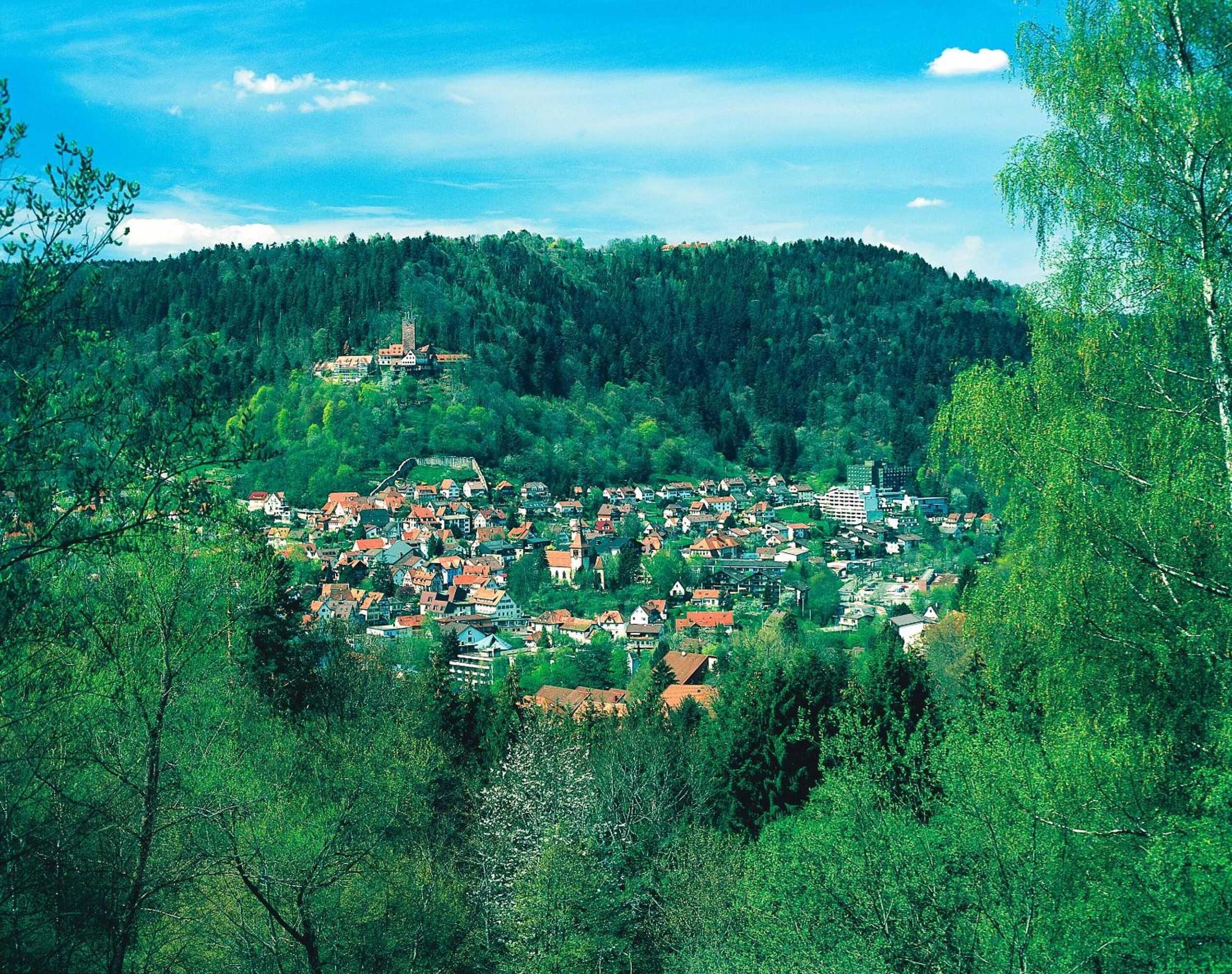 Gift card for Aparthotel Hochwald Gift card for Aparthotel Hochwald