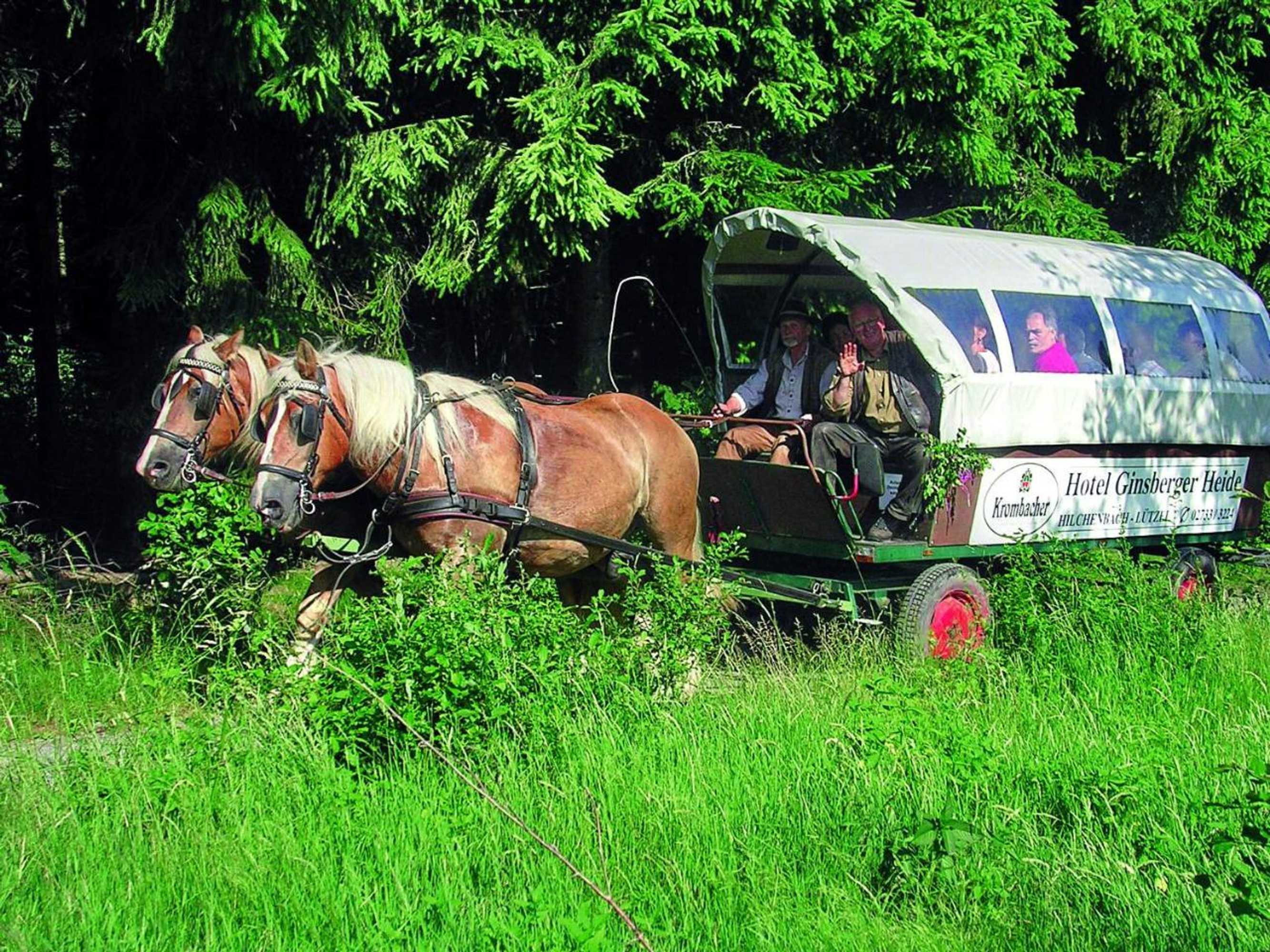 Gift card for Ginsberger Heide