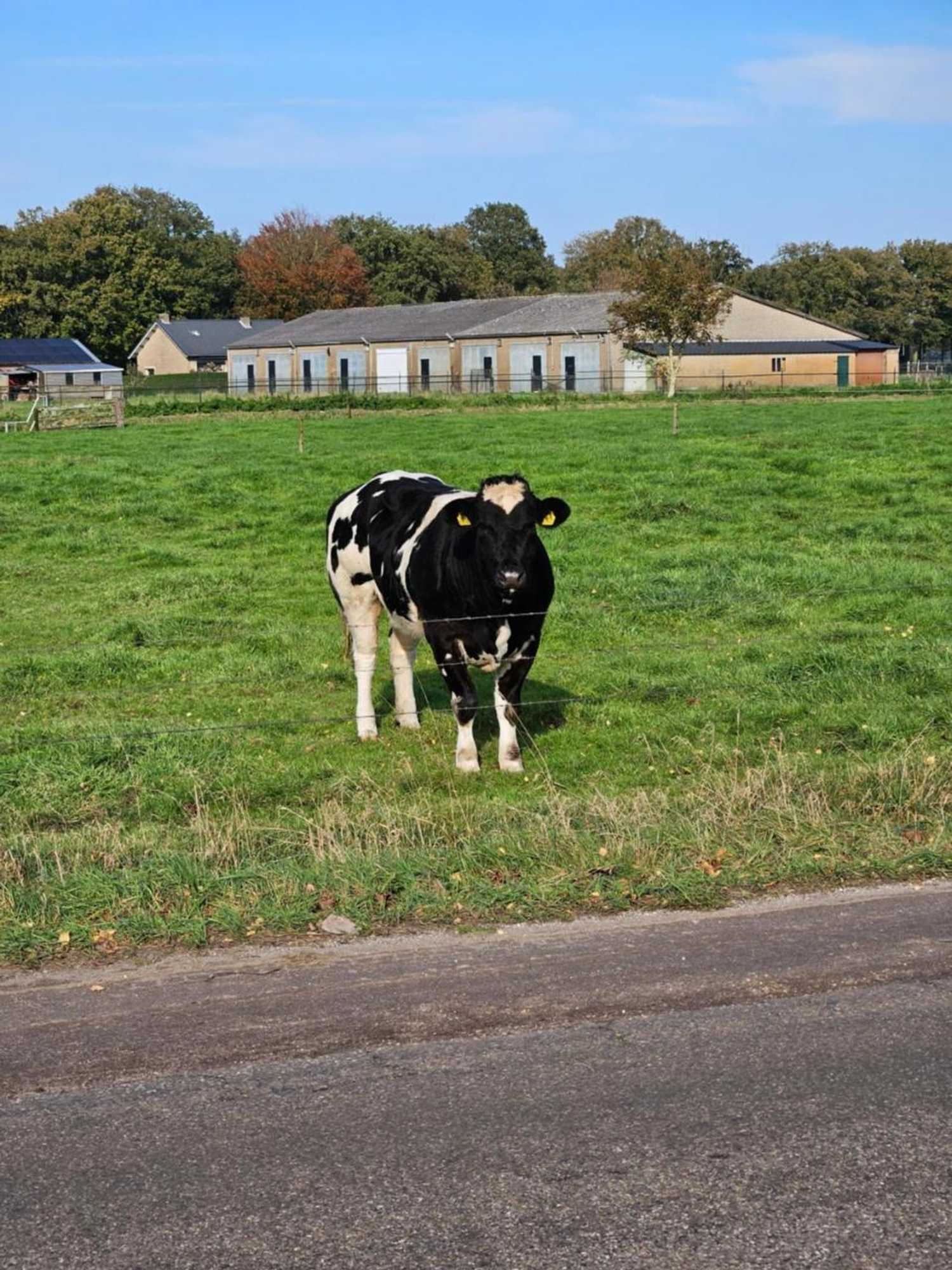 Gift card for Bed en Breakfast Boekel