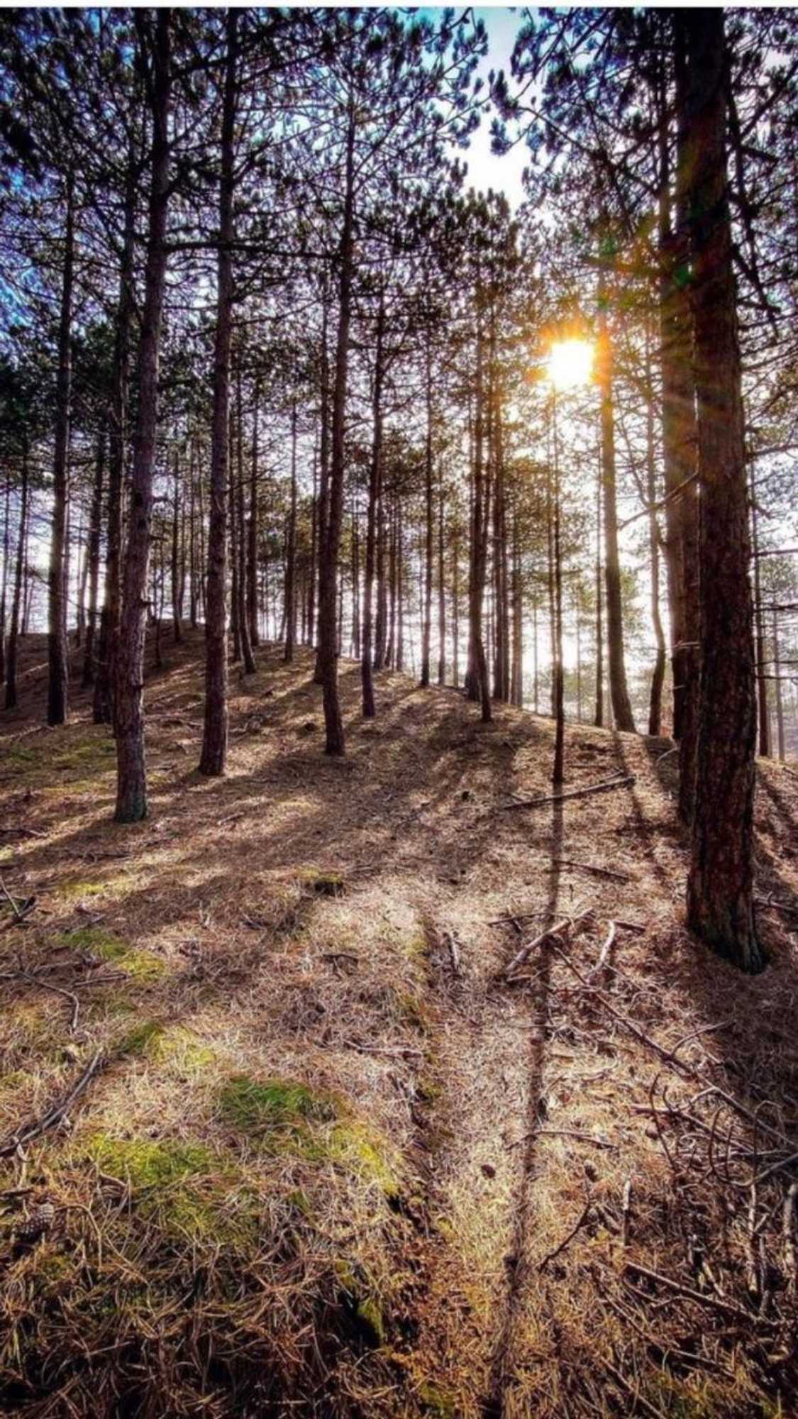 Gift card for Eureka Vakantiehuisjes