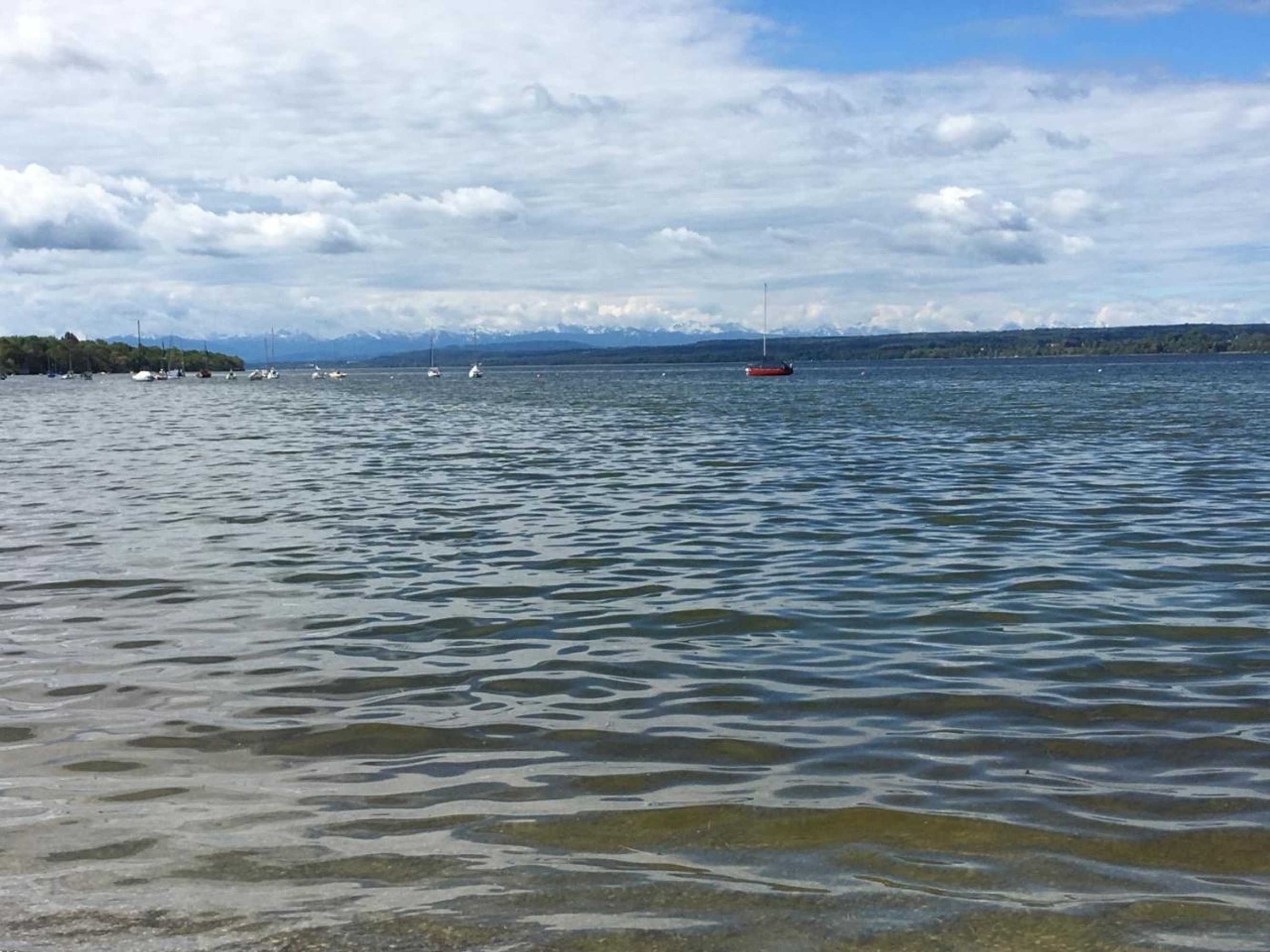 Gift card for Ammi Hotel Garni