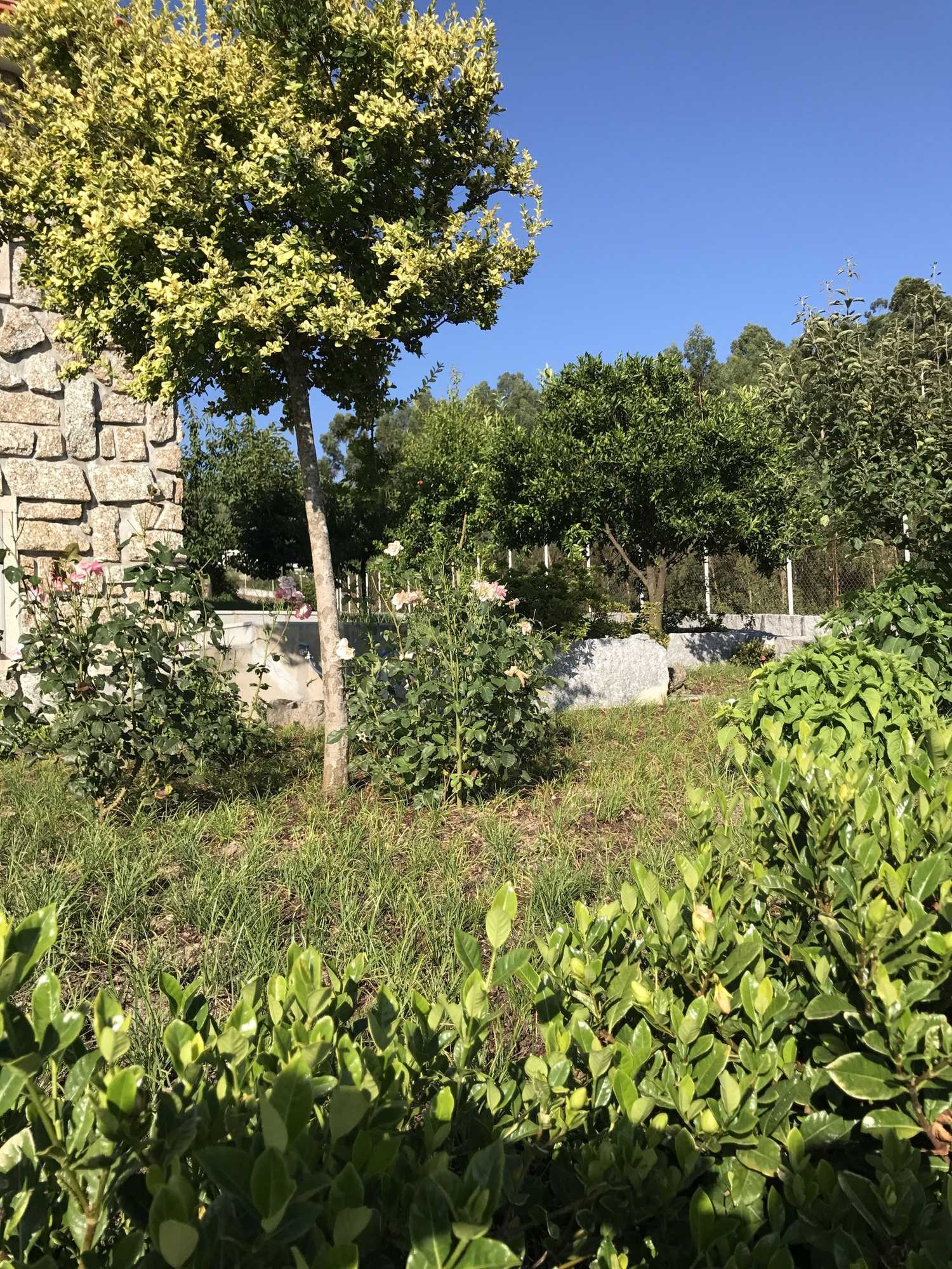 Gift card for Propriedade do Pires