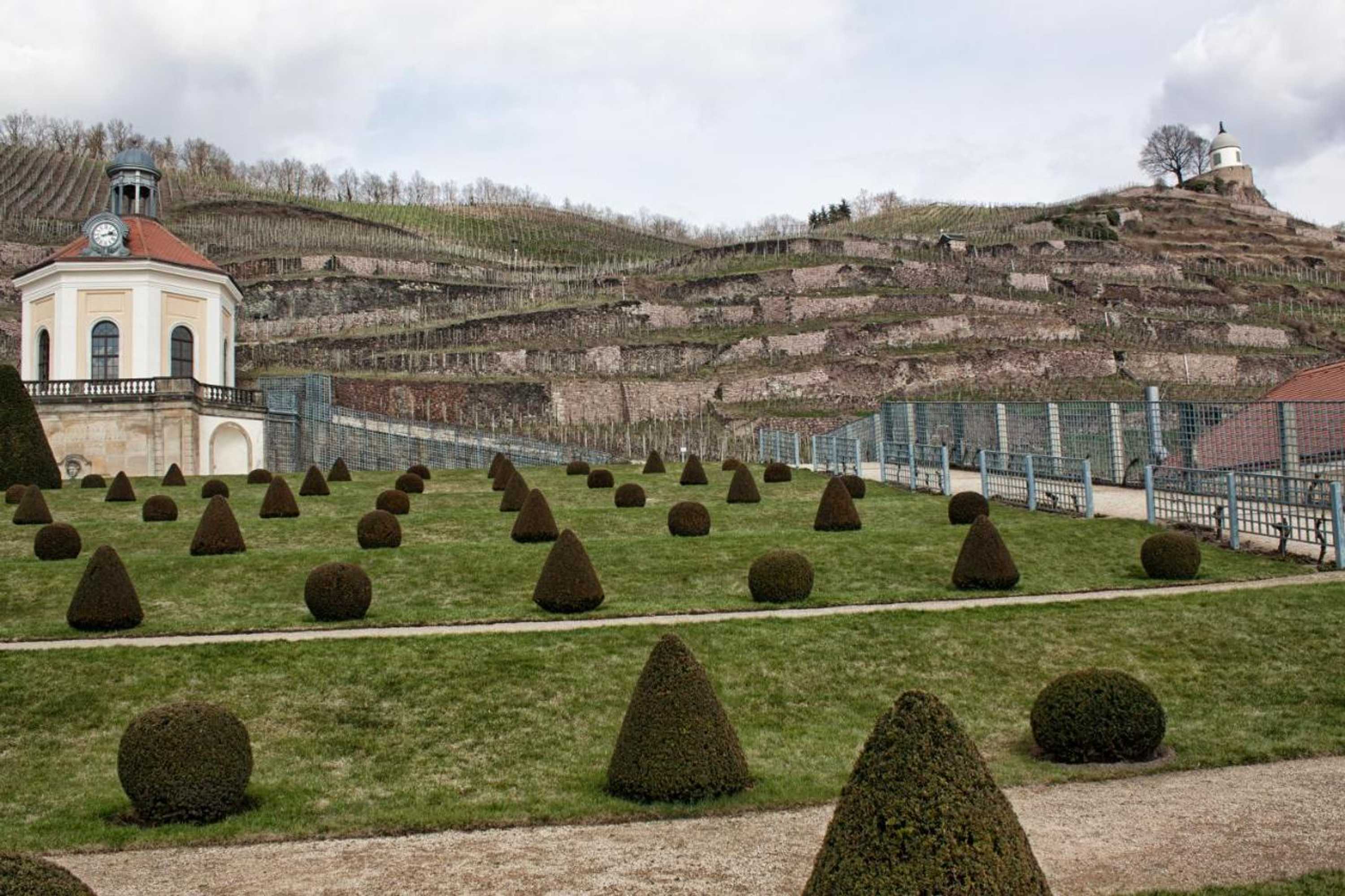 Gift card for West Hotel an Der Sächsischen Weinstrasse