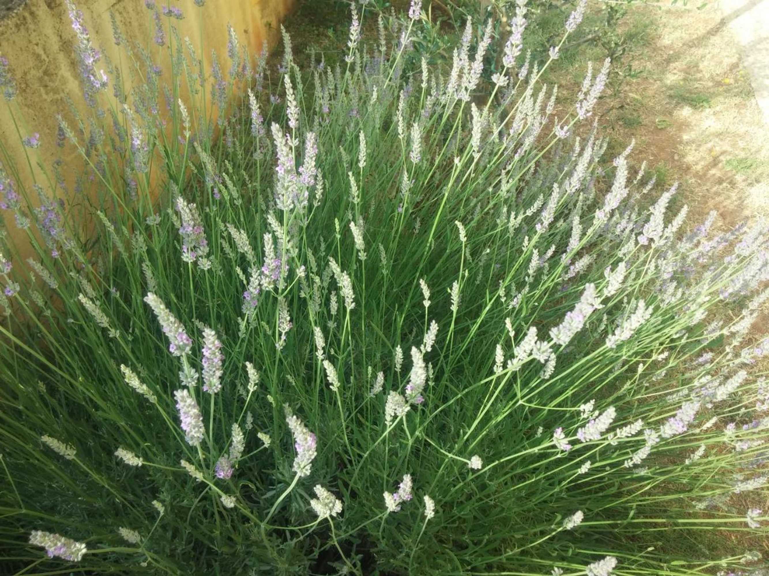 Gift card for Apartments Manuela