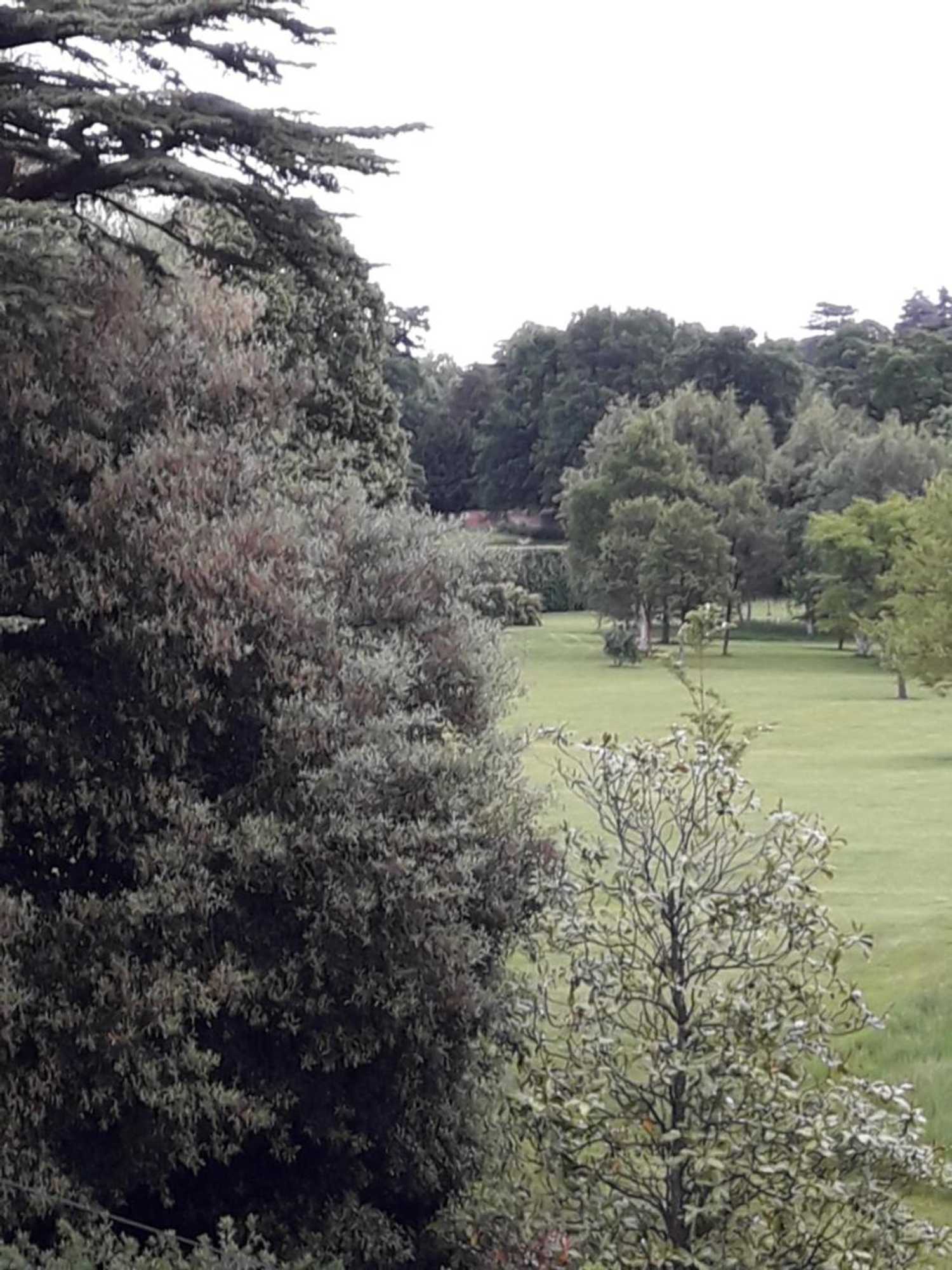 Gift card for Havisham House