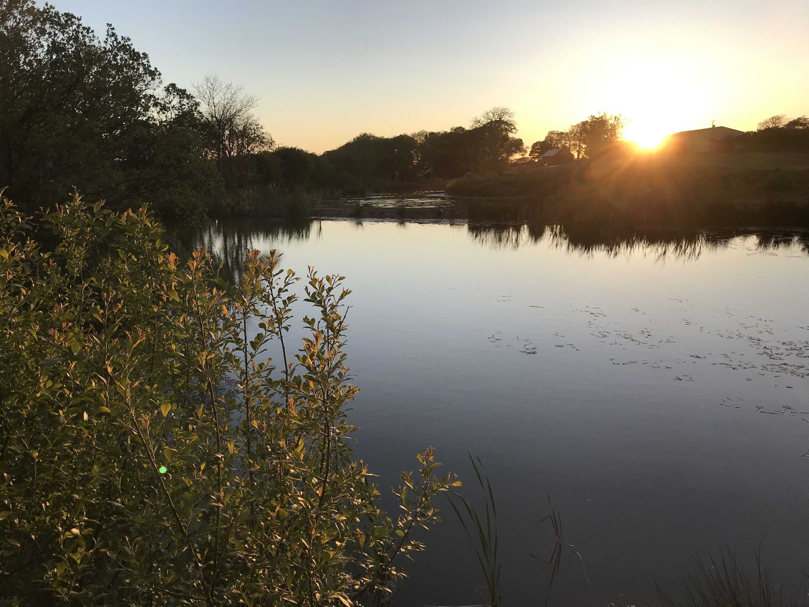 Gift card for Tawny Lodge - 1 Bedroom - Blossom Farm Gift card for Tawny Lodge - 1 Bedroom - Blossom Farm