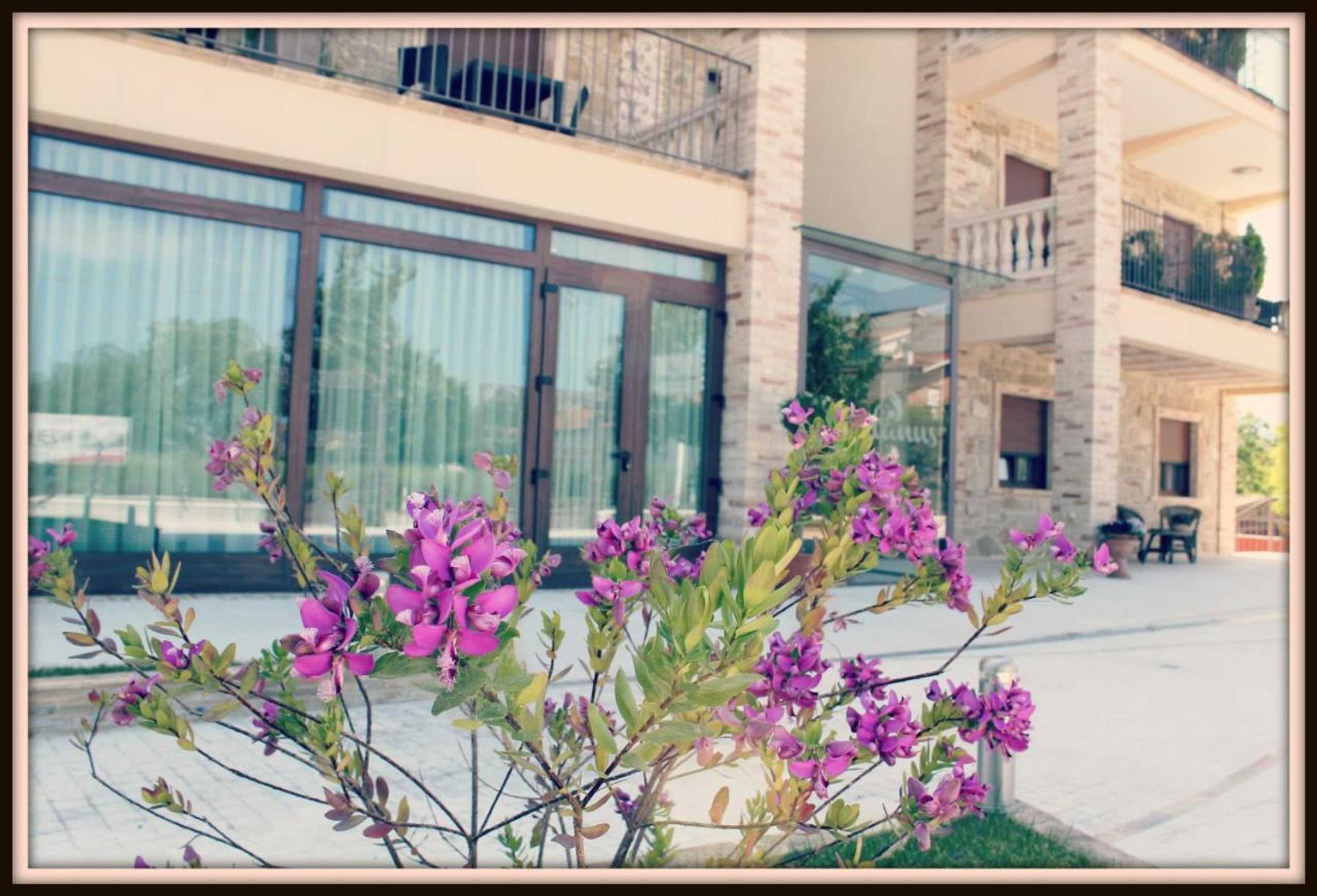 Gift card for Halanus Hotel & Resort