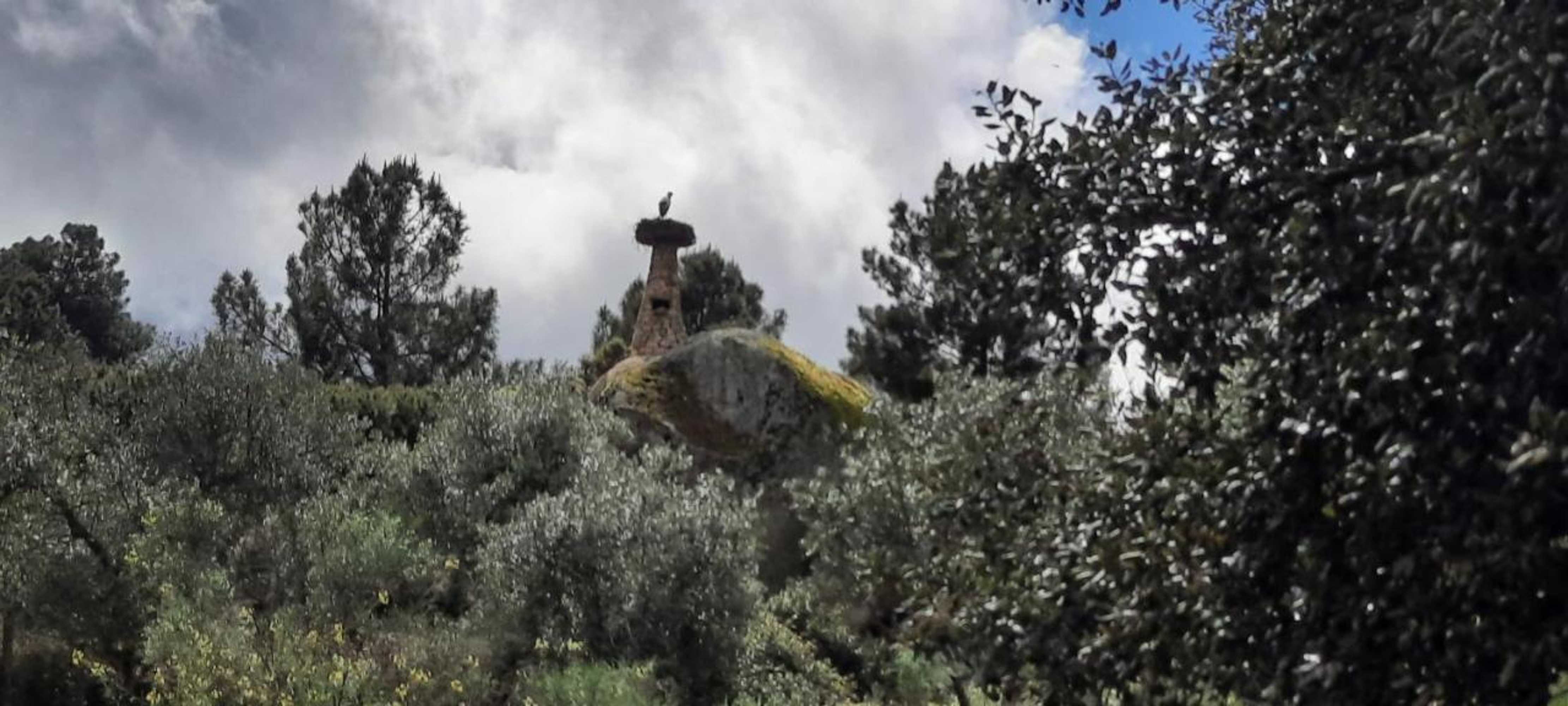 Gift card for Tapada da Rabela - Reserva Natural