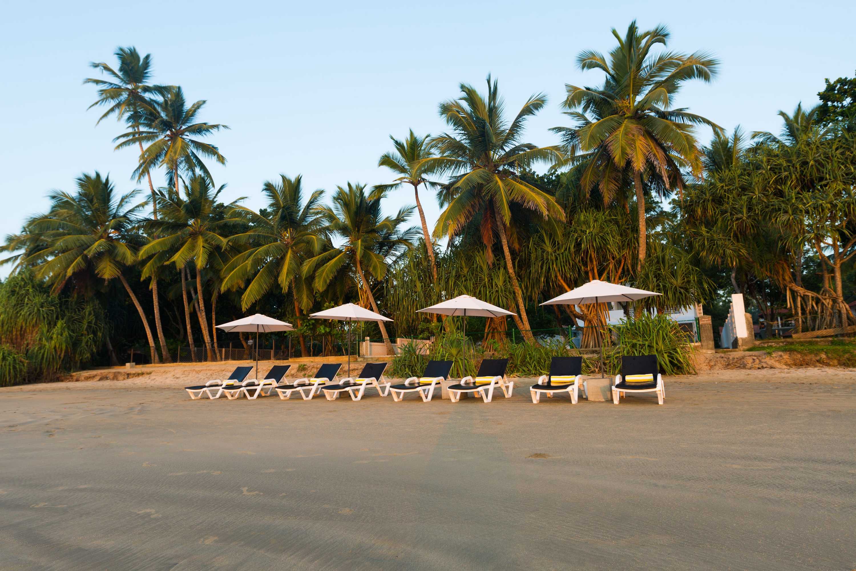 Gift card for Taru Villas Tangalle Social - Tangalle Gift card for Taru Villas Tangalle Social - Tangalle