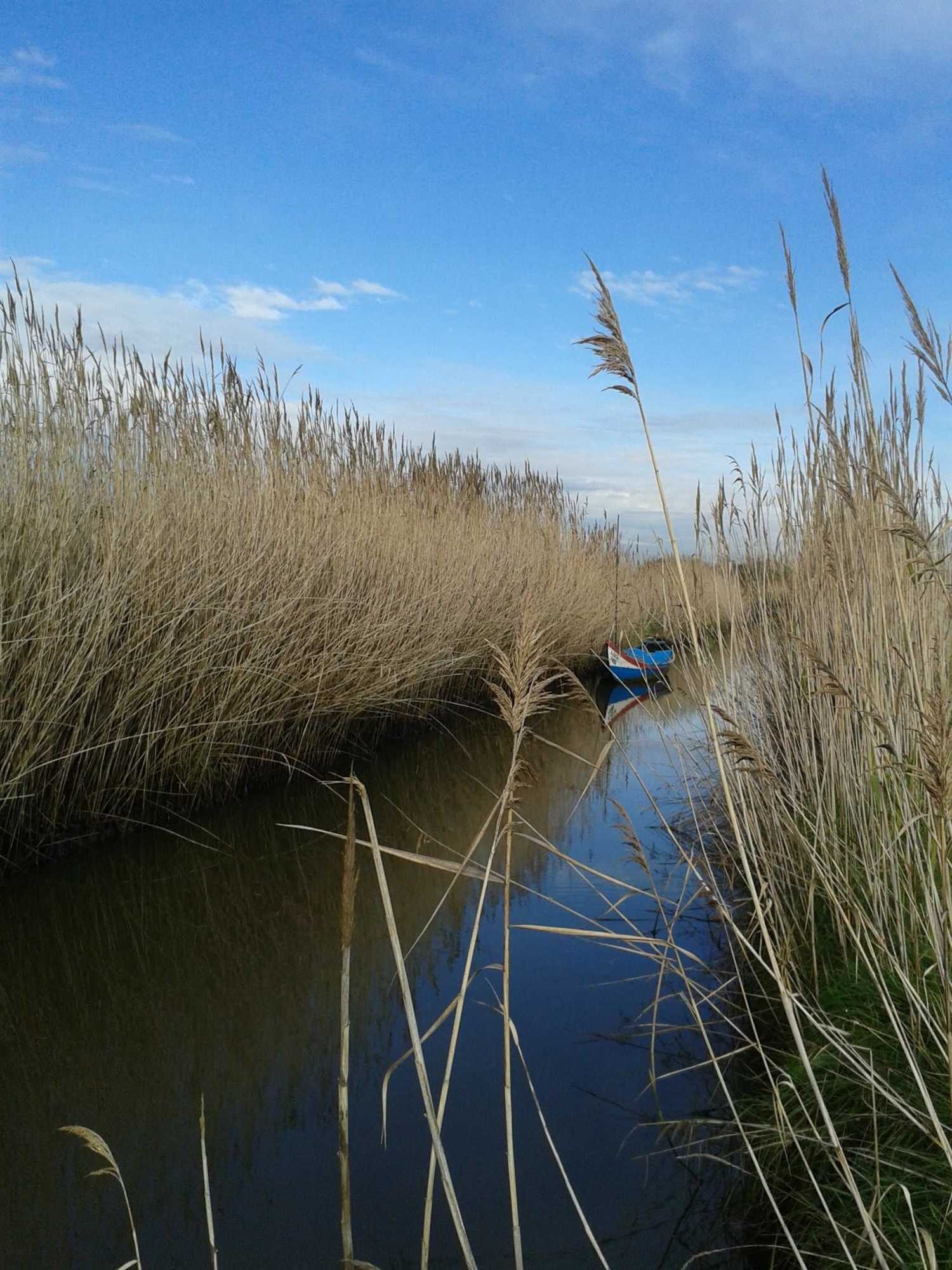 Gift card for Be & See in Nature