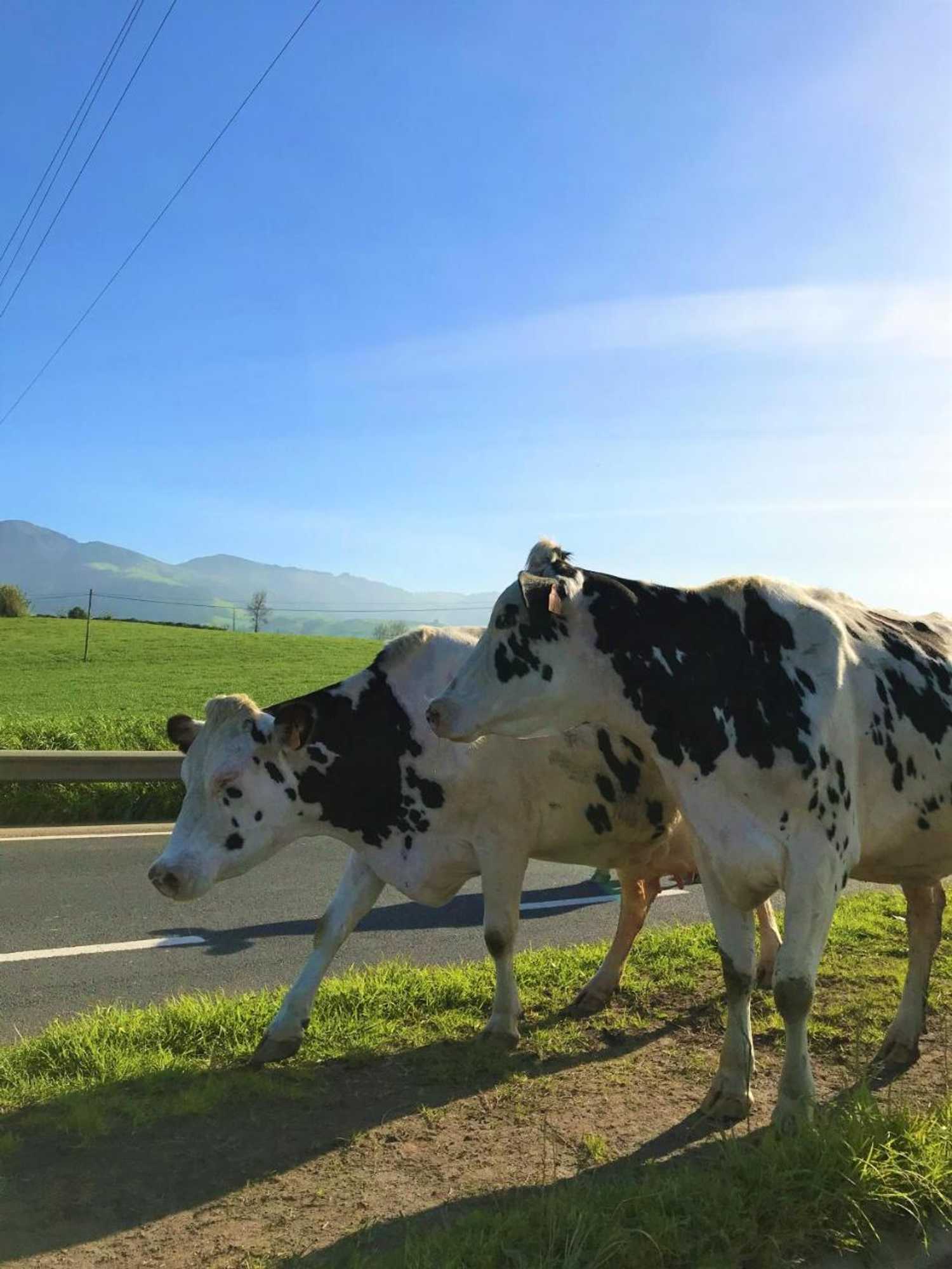 Gift card for Casa Inti / Inti House Furnas