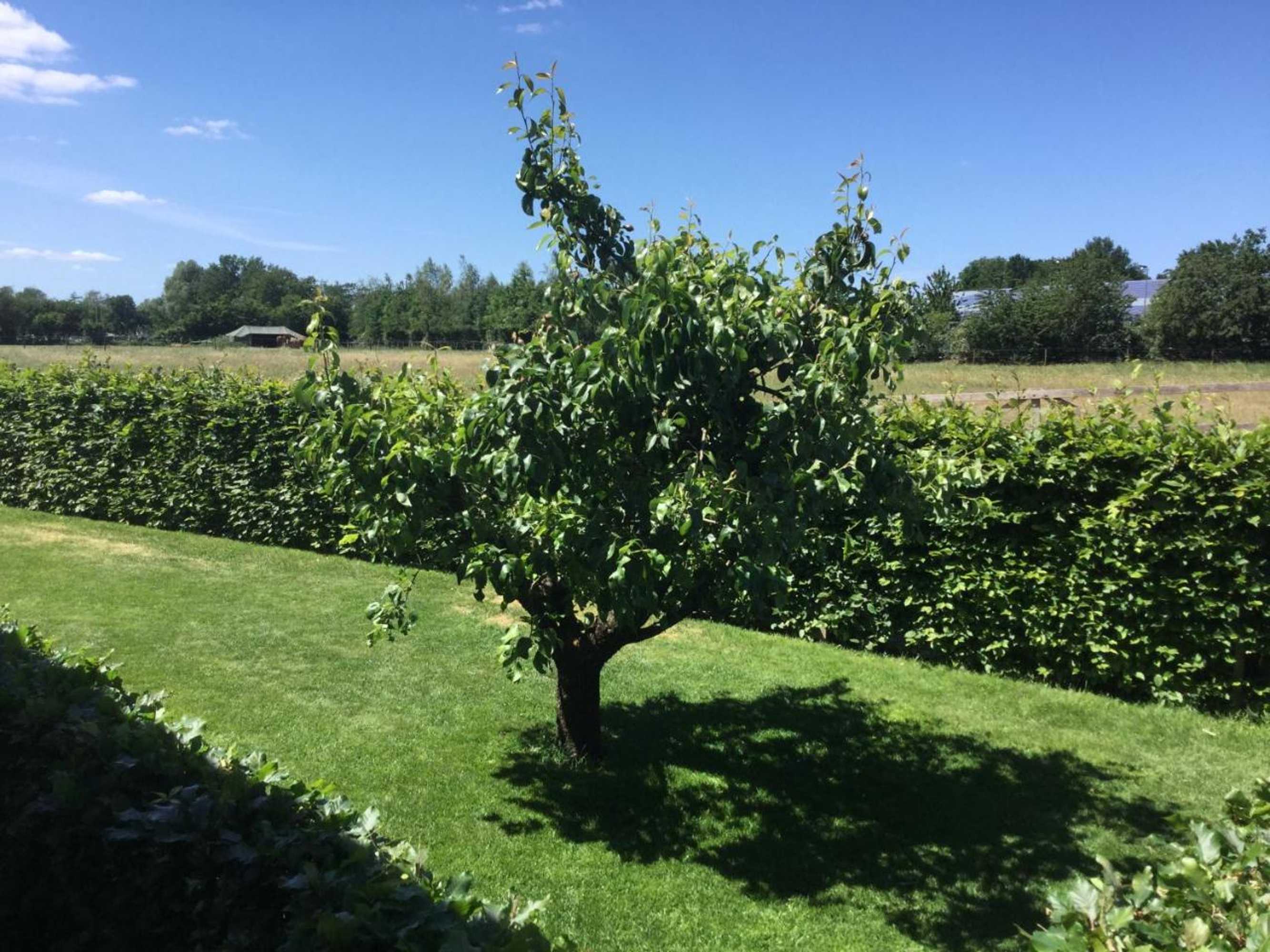 Gift card for Bed & Breakfast Bennekom