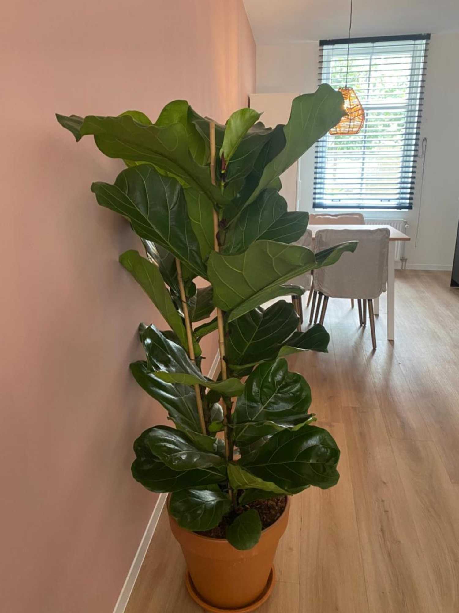 Gift card for Hotel 't Fnidsen