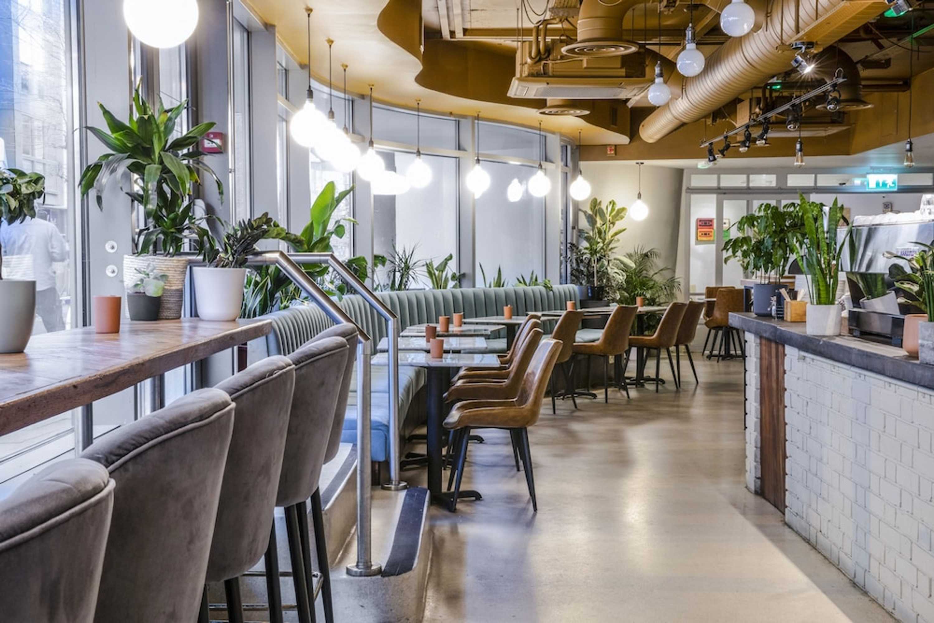 Gift card for My Brighton