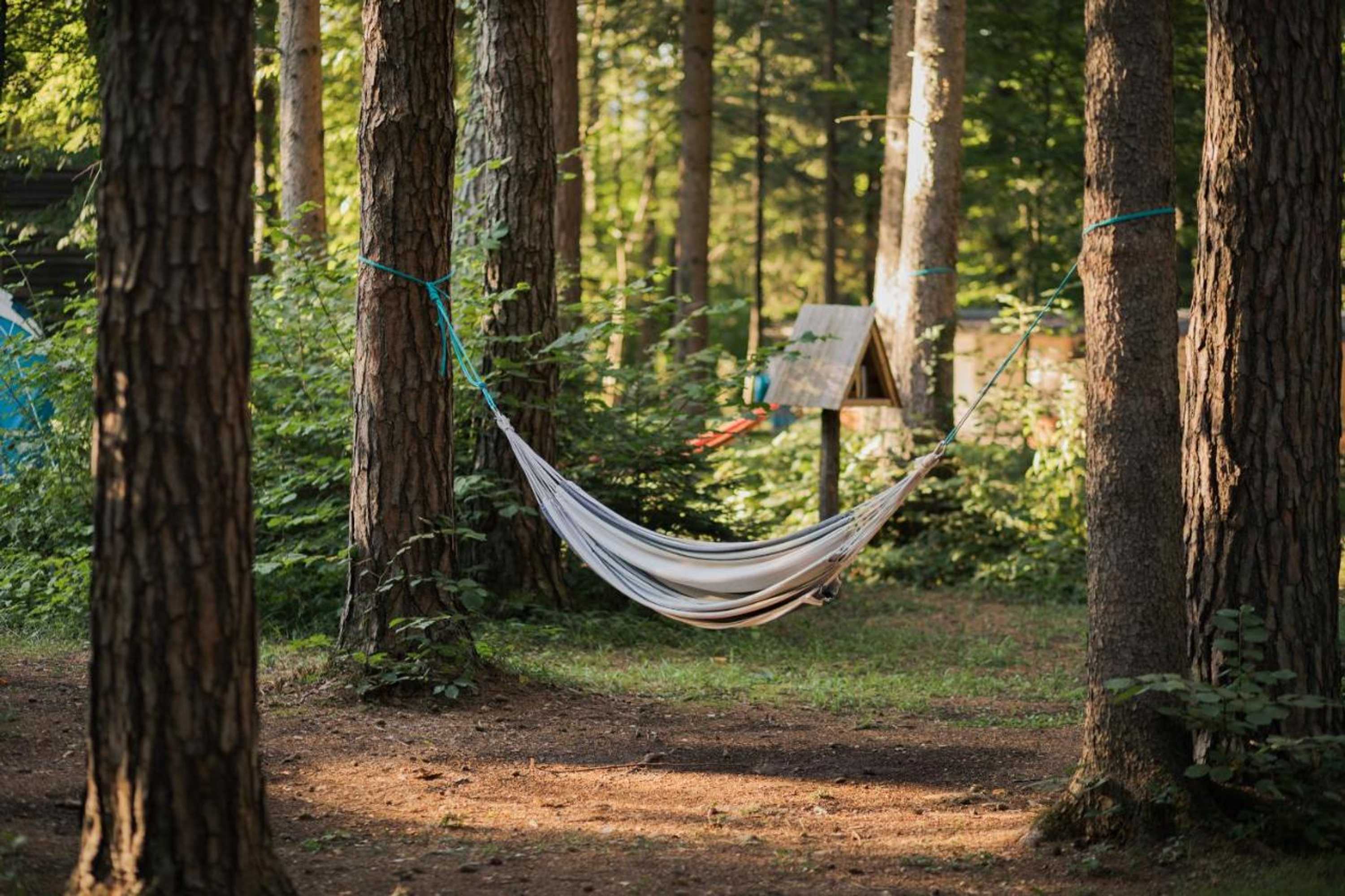 Gift card for Forest Camping Mozirje