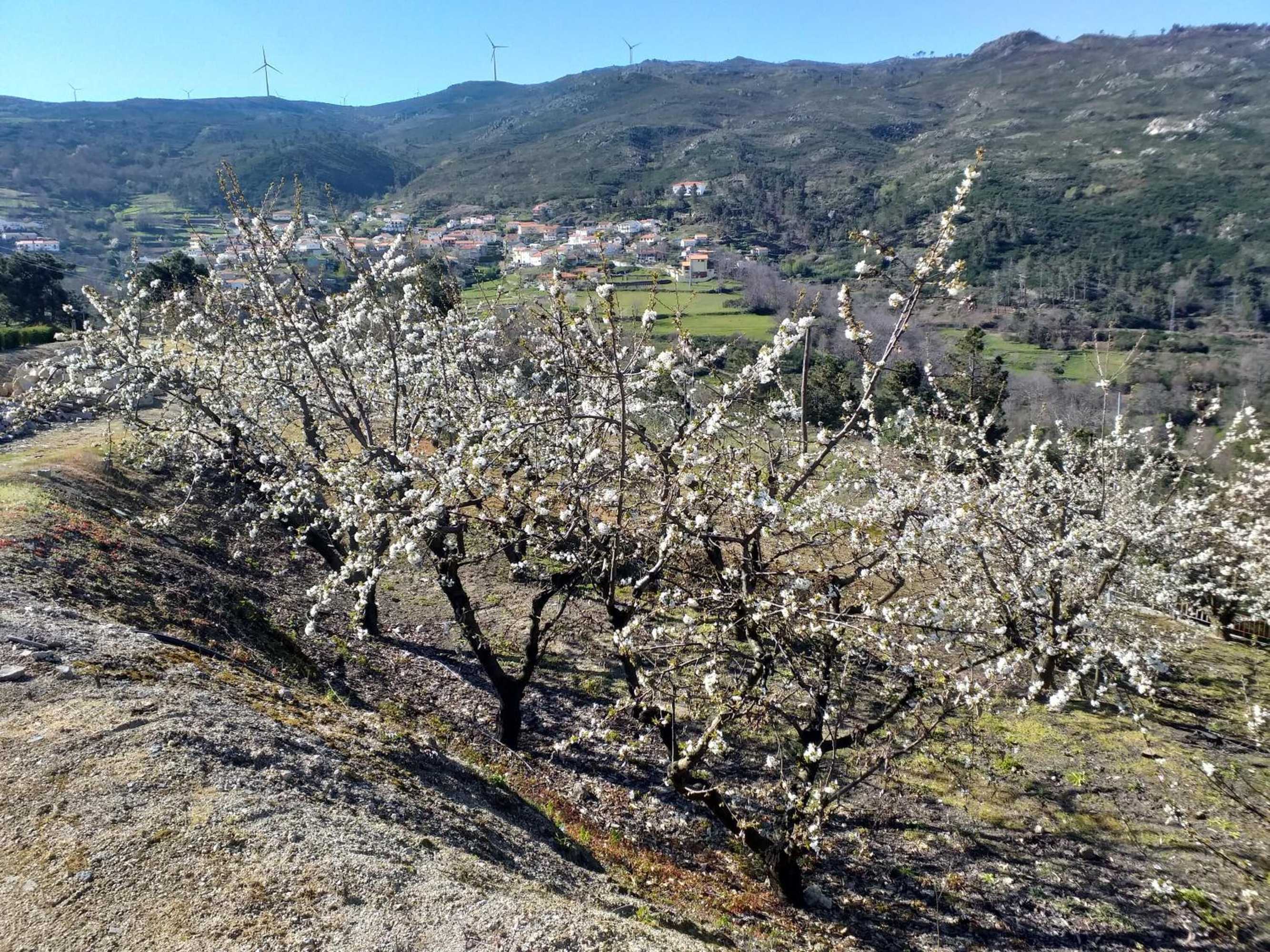 Gift card for Rivatur - Explorações Turísticas Lda