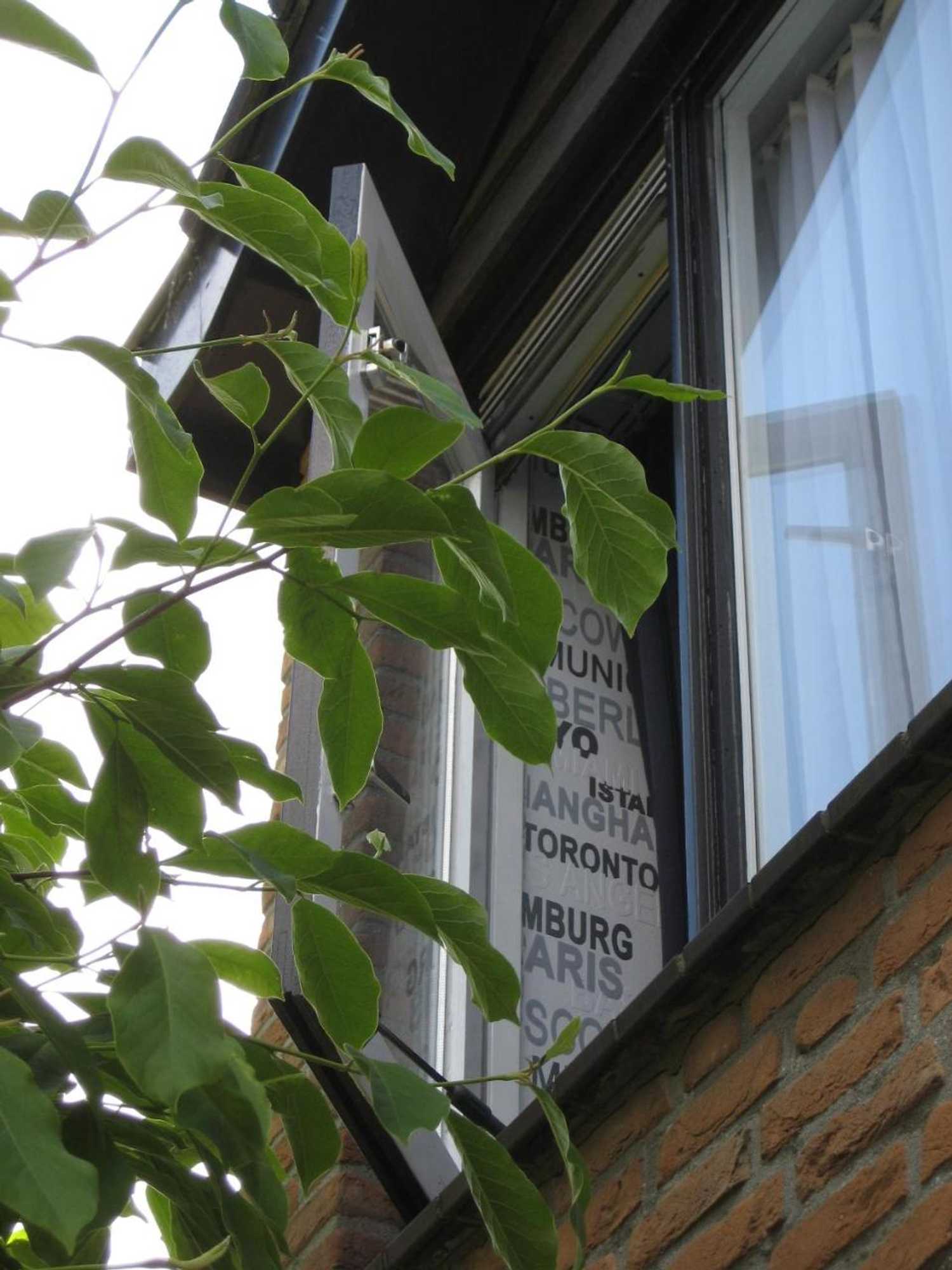 Gift card for B&b de Mozaiektegel