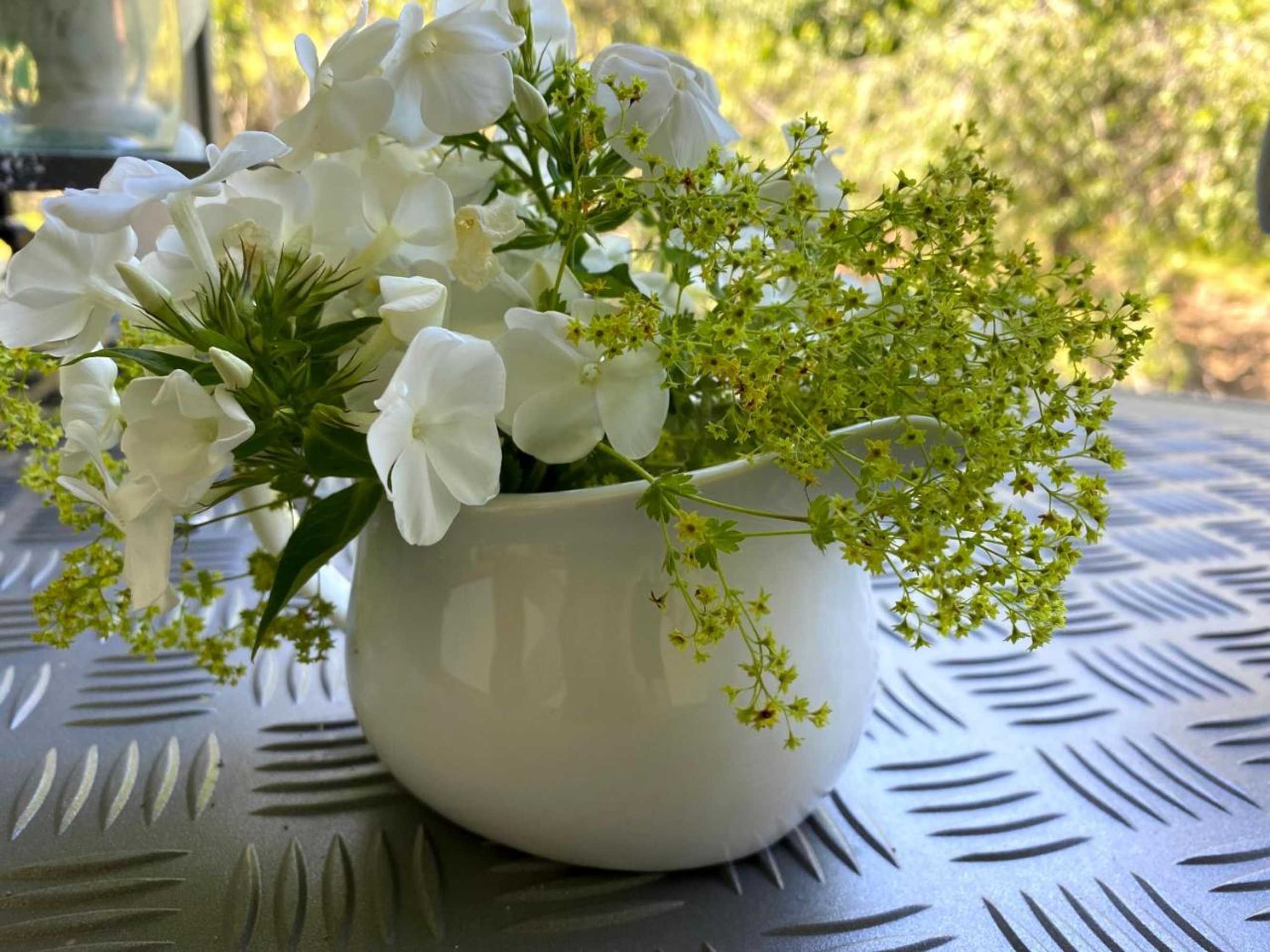 Gift card for B&b Tannen124