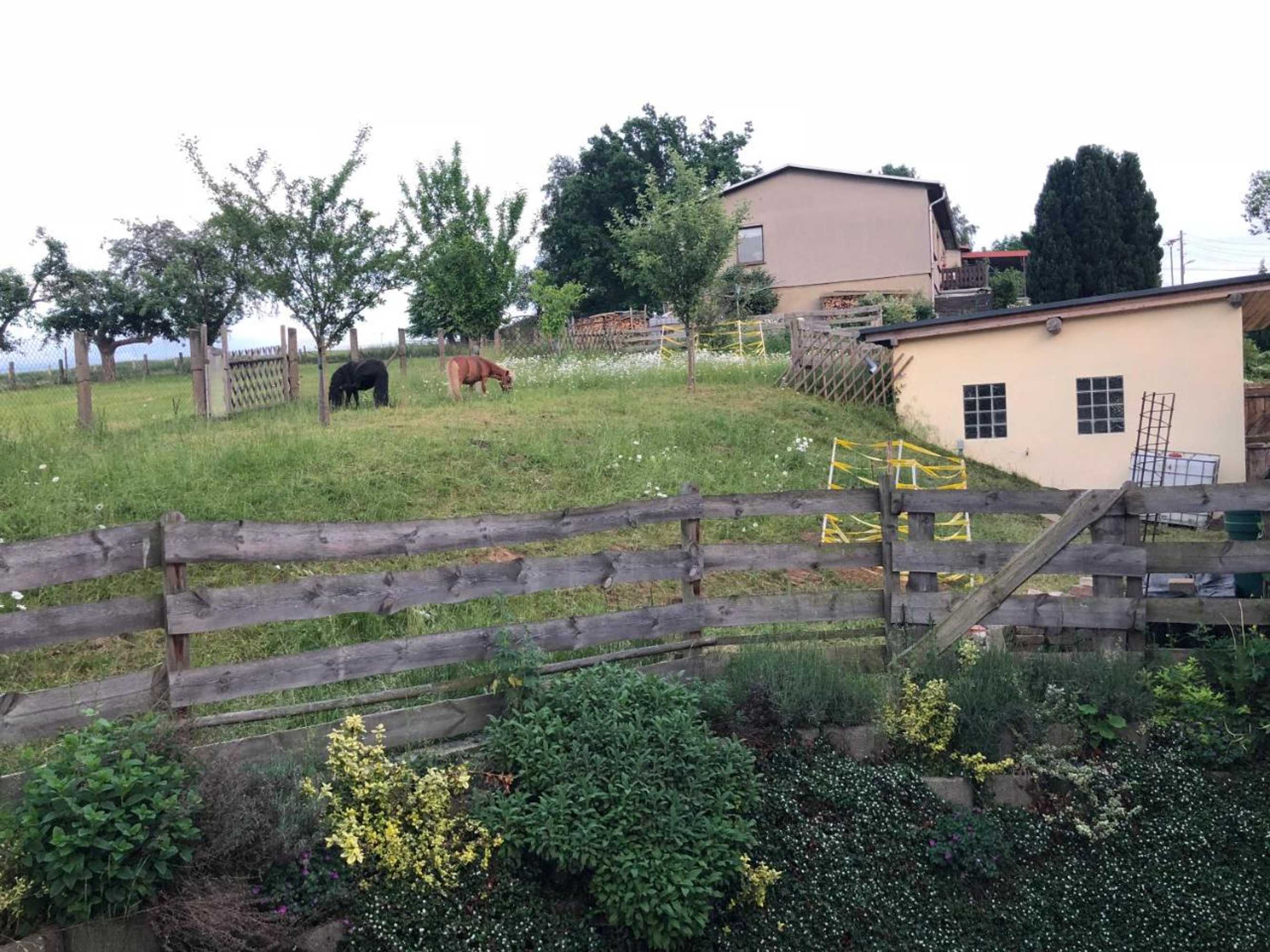 Gift card for Pension Alex