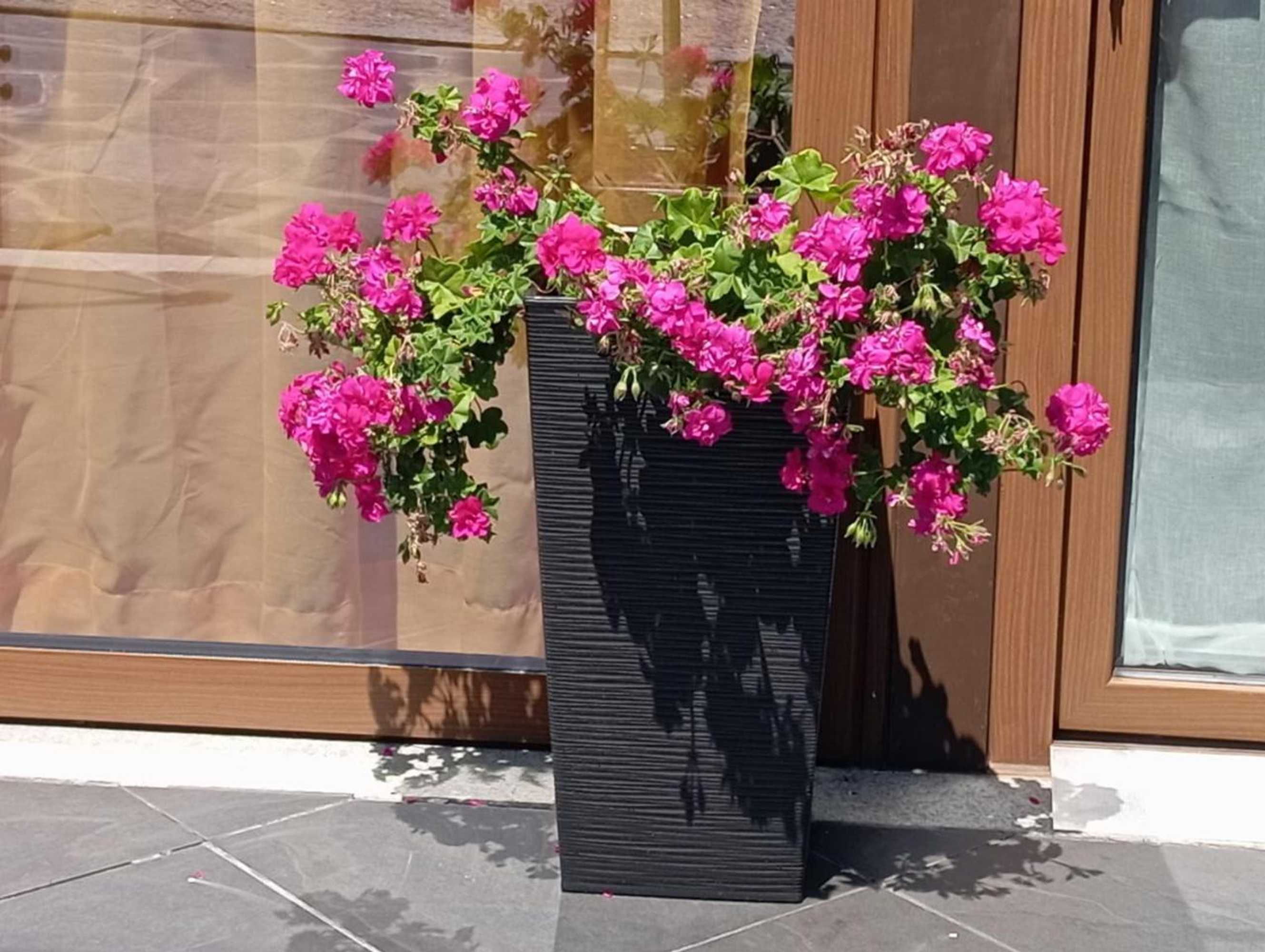 Gift card for Canastro Country House