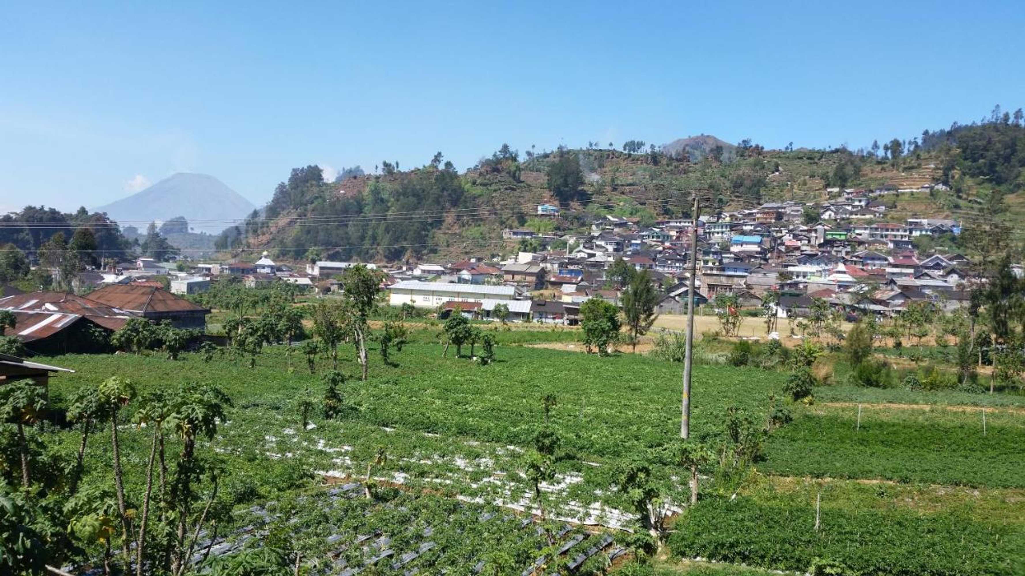 Gift card for Tridwi Homestay