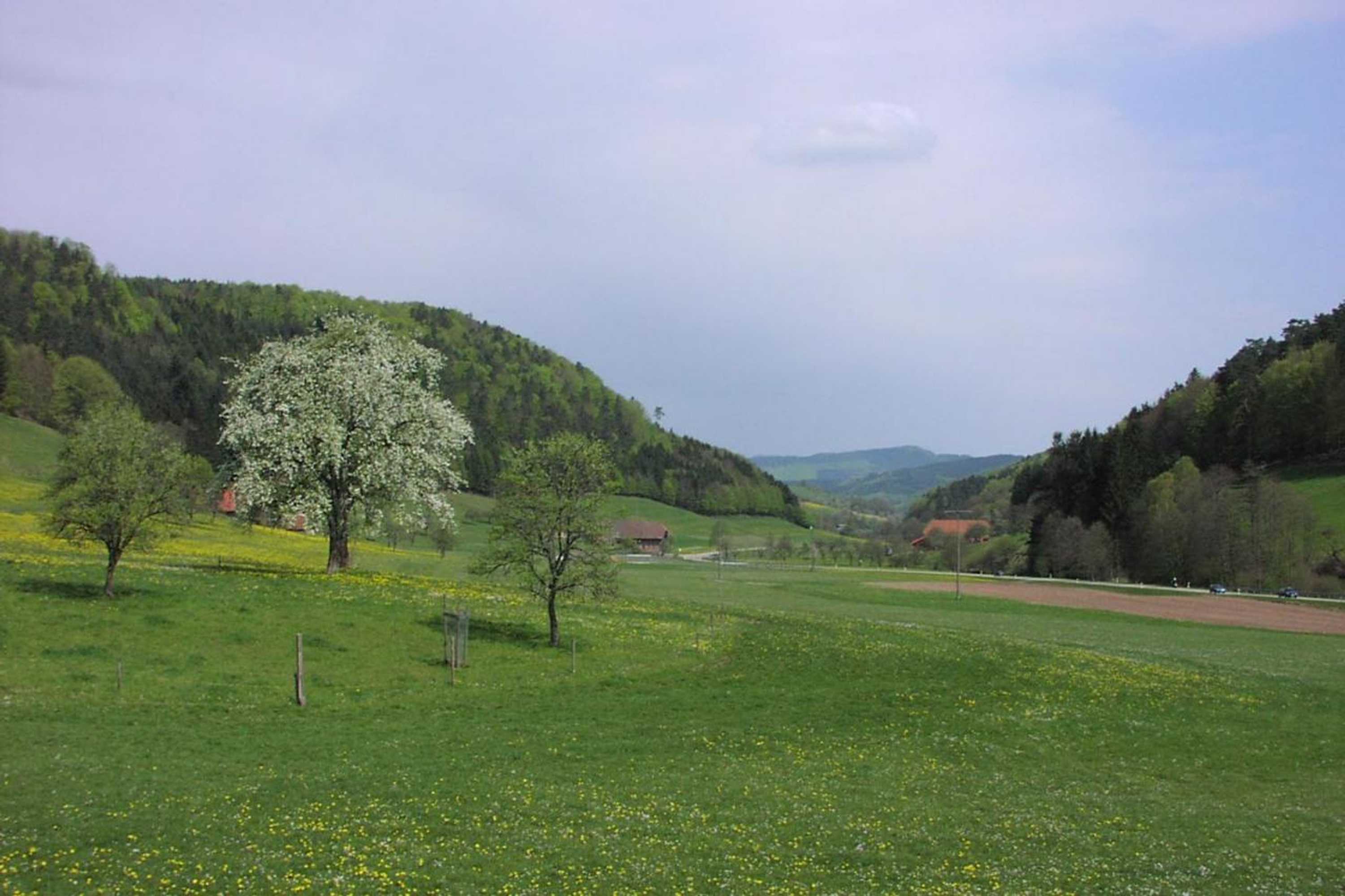 Gift card for Schwarzwälder Ferienwohnungen - Marita Schäfer