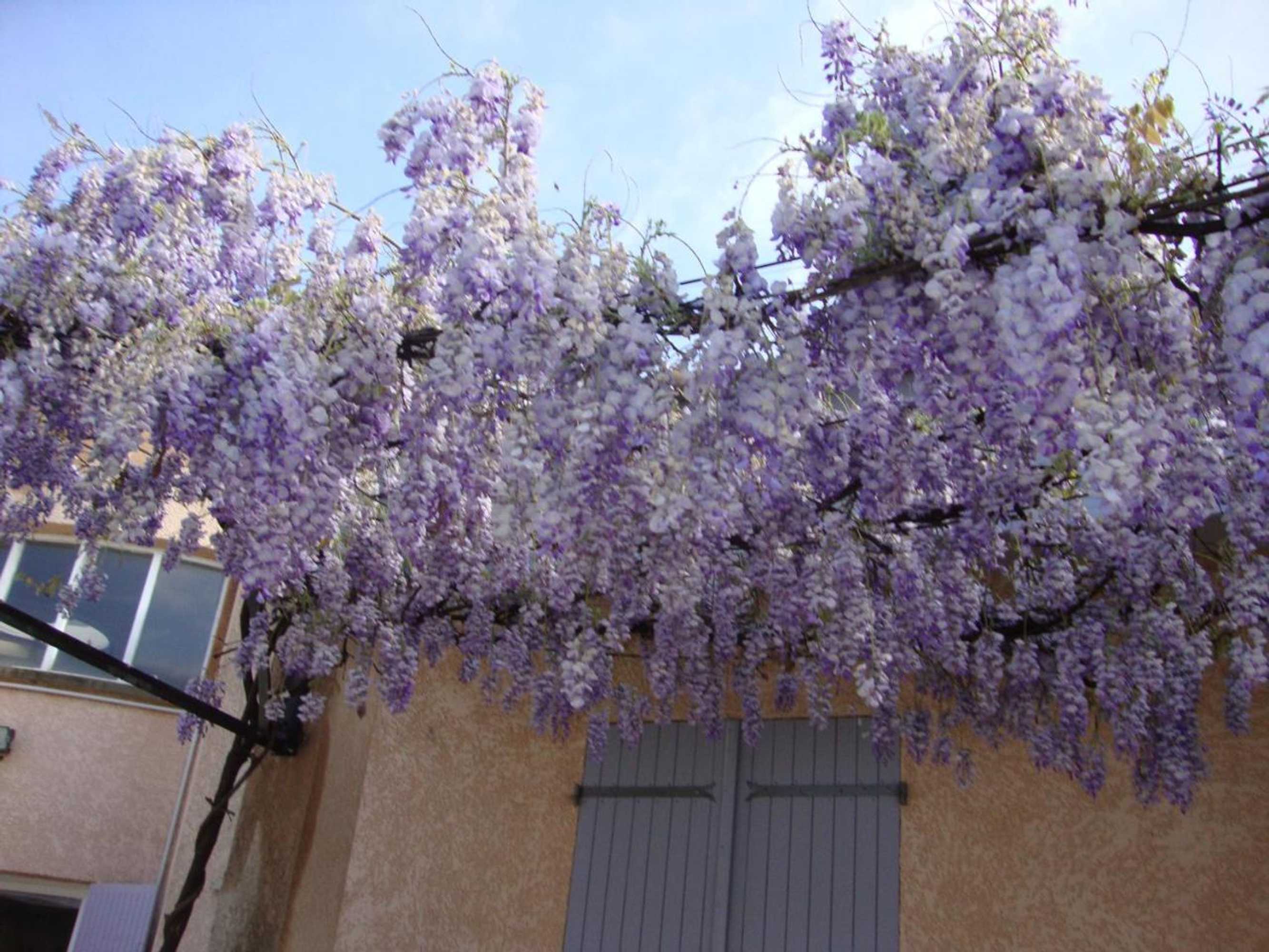 Gift card for Michèle et Didier Lin