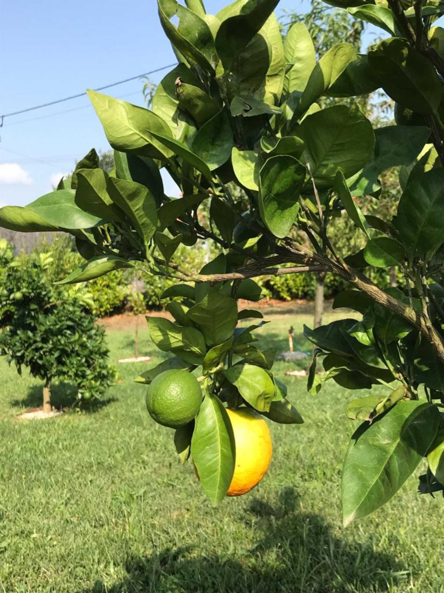 Gift card for Casa do Villas