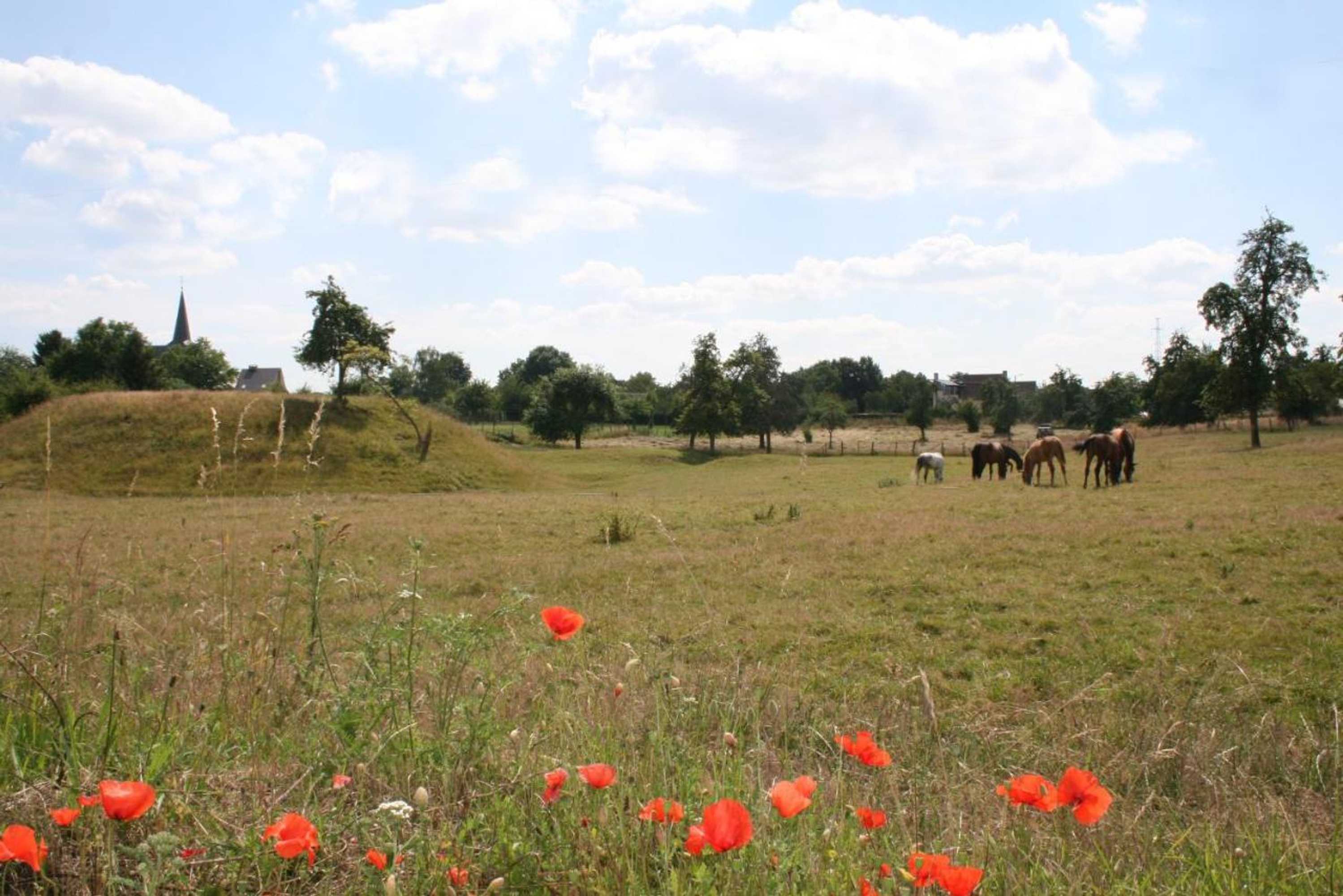 Gift card for Twee Broeders Gift card for Twee Broeders