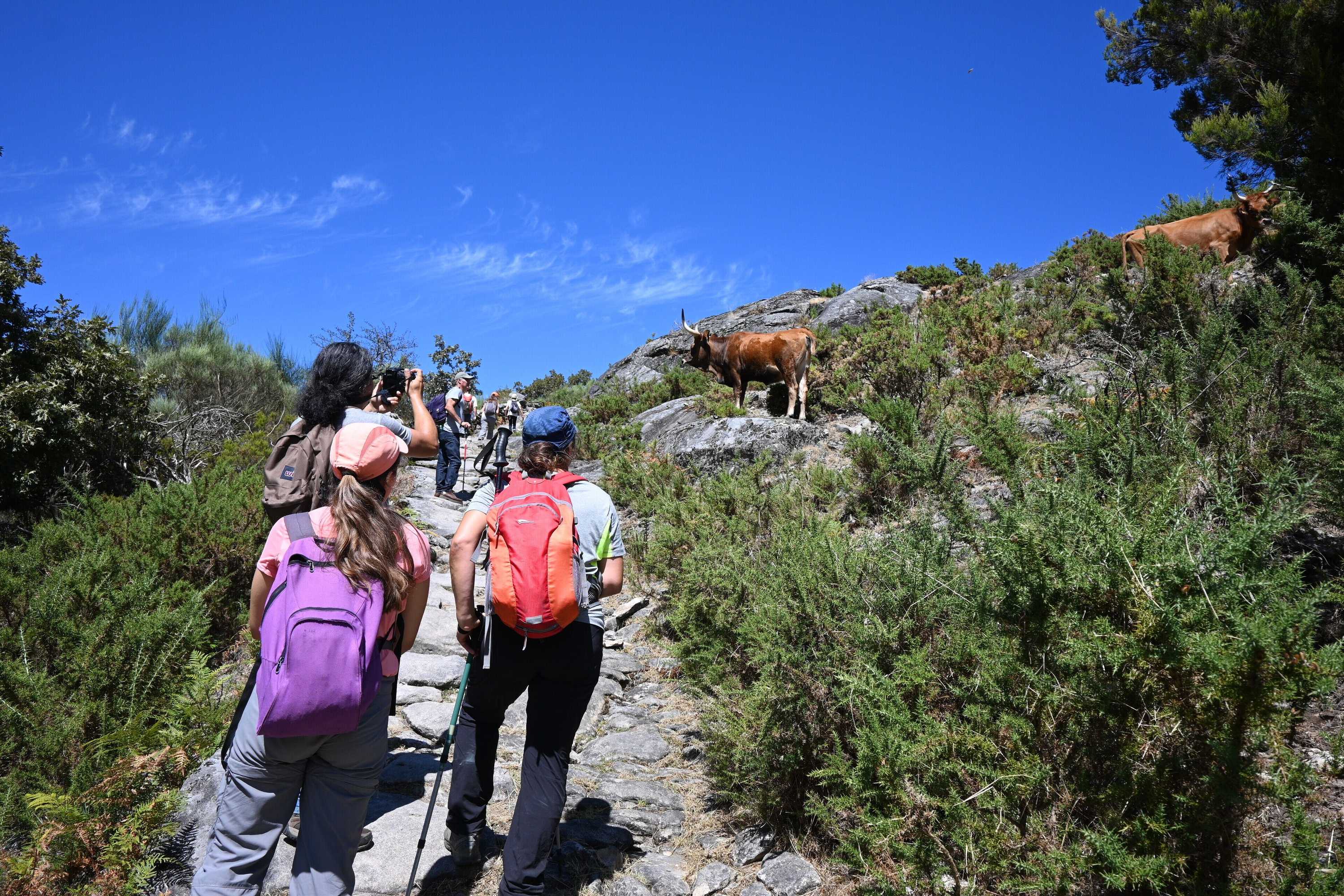 Gift card for Peneda Ecofarm