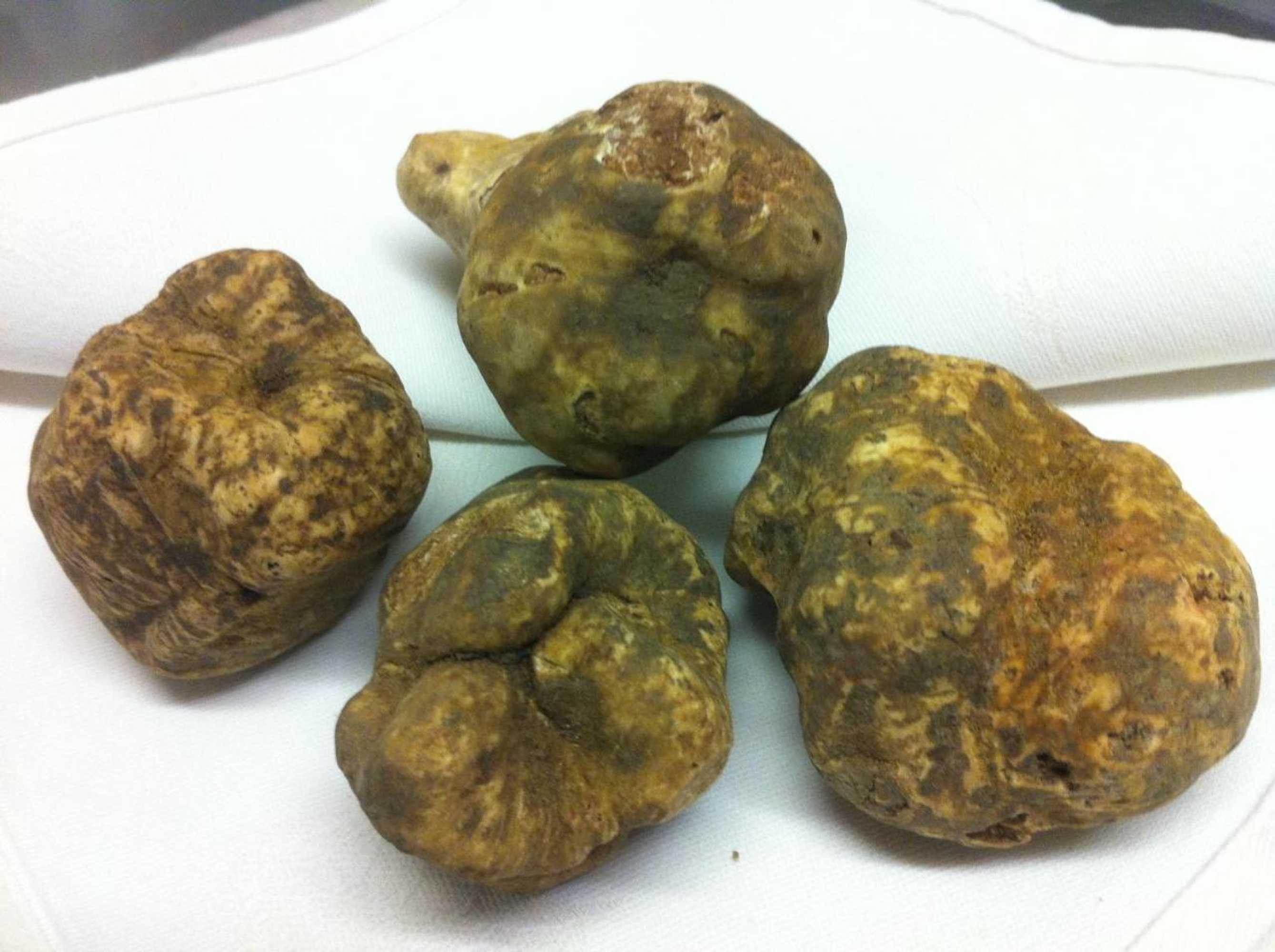 Gift card for Landgasthaus Bären