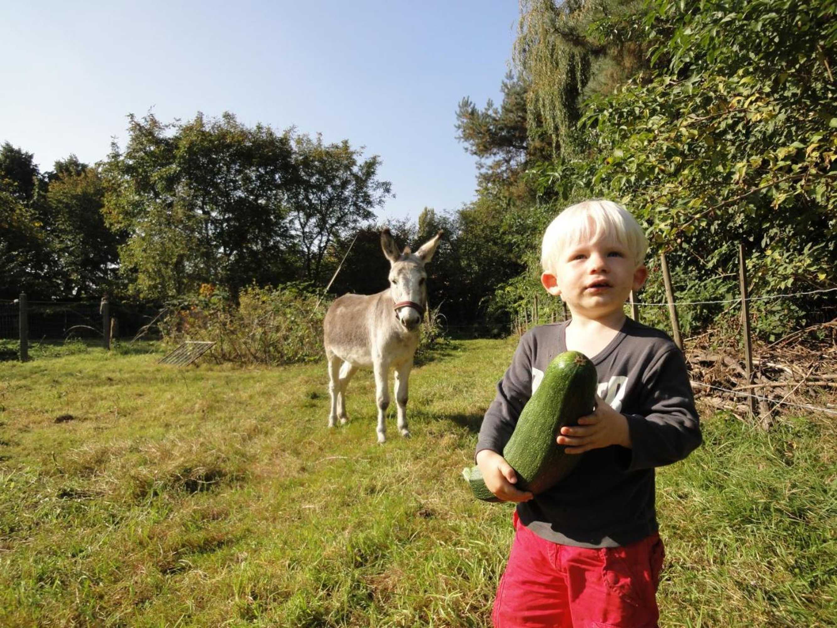 Gift card for B&b Vennehoeve