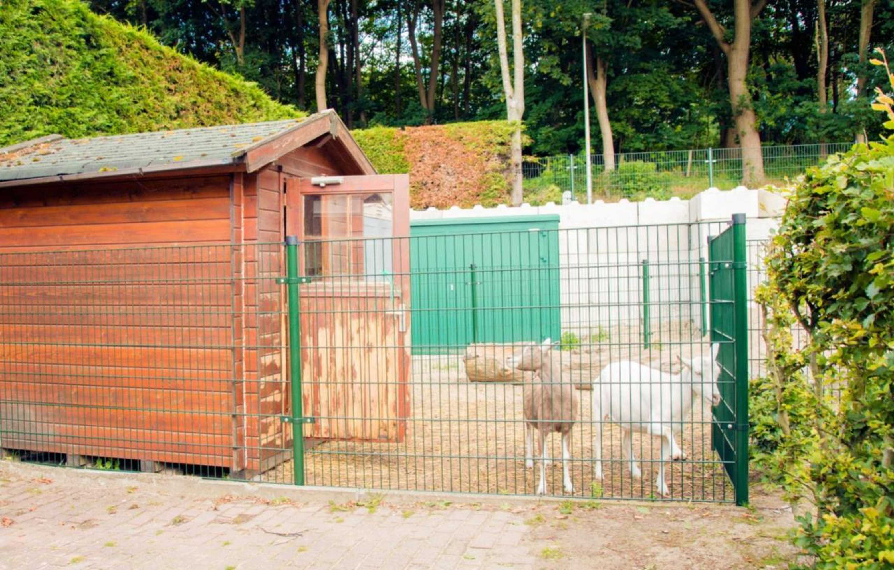 Gift card for Bungalow 6p