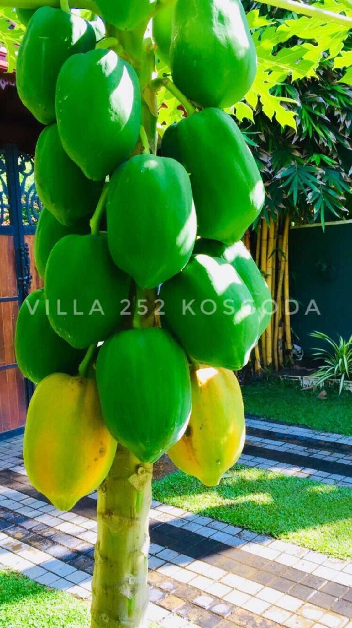 Gift card for Villa 252 Kosgoda