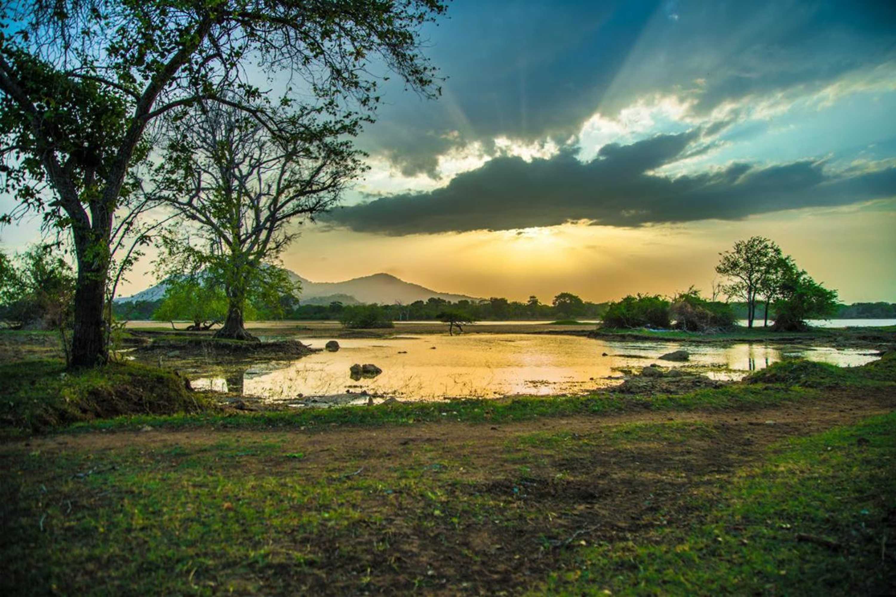 Gift card for Wadula Safari Yala