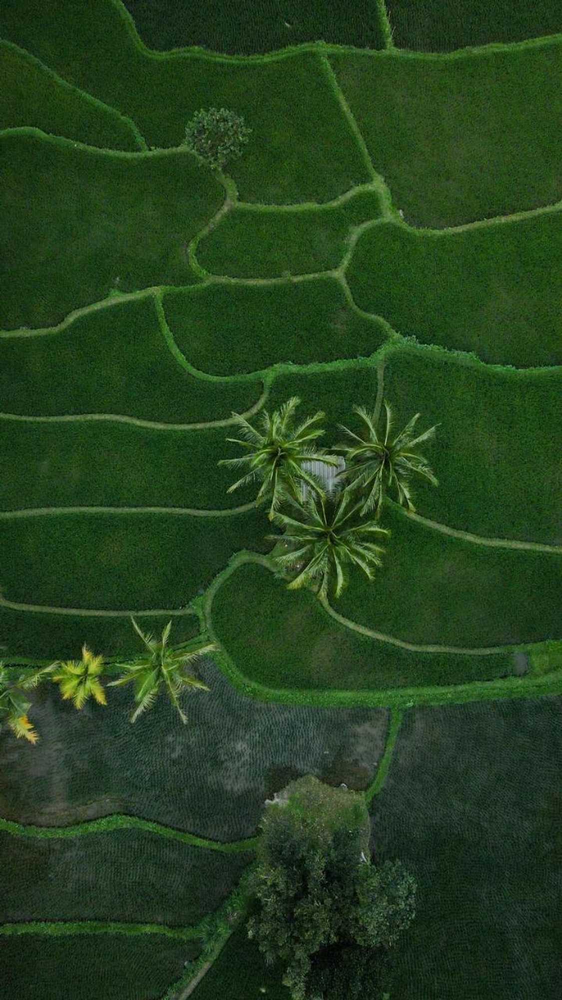 Gift card for Farmer Homestay