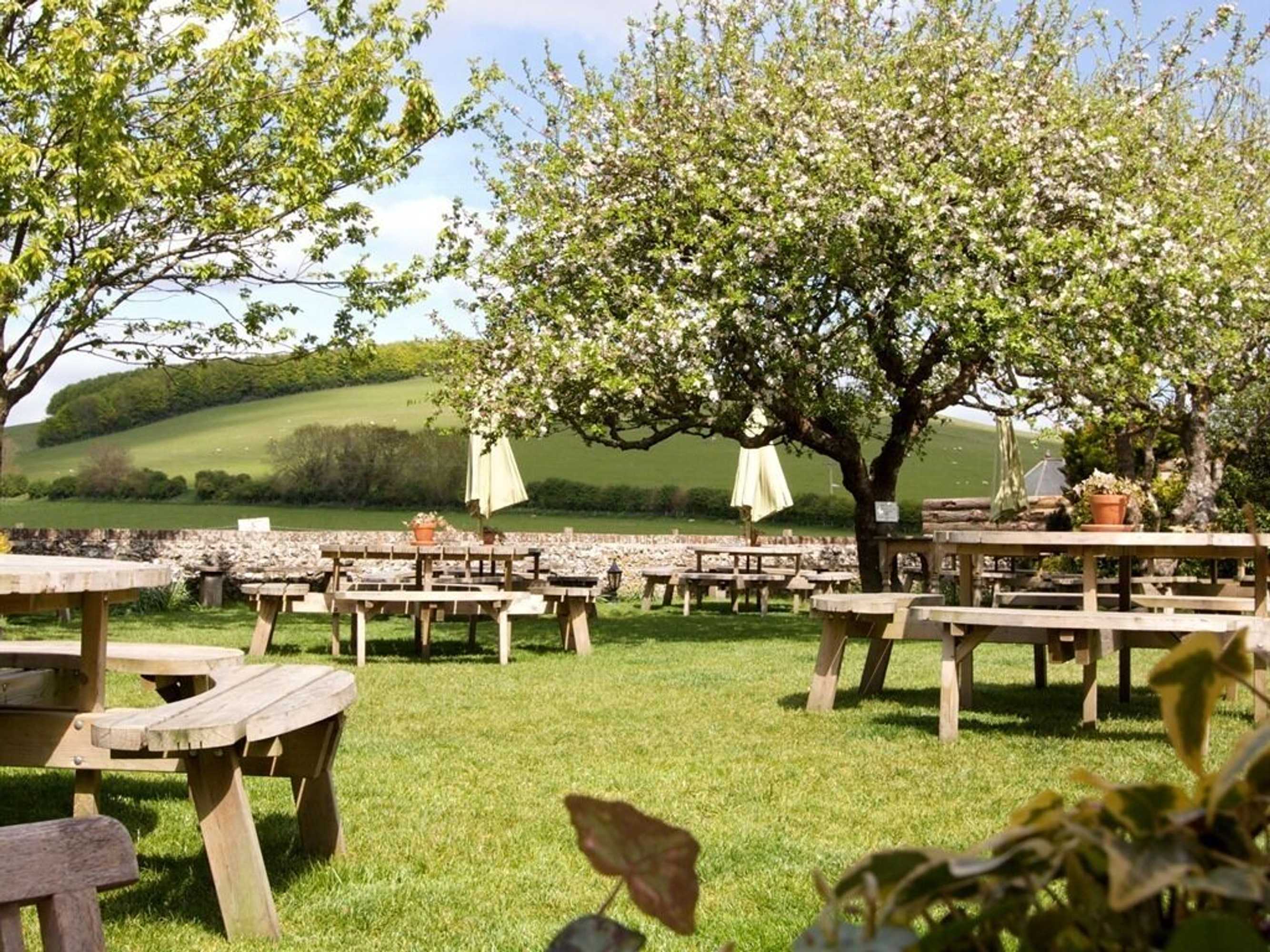 Gift card for The Fox Goes Free