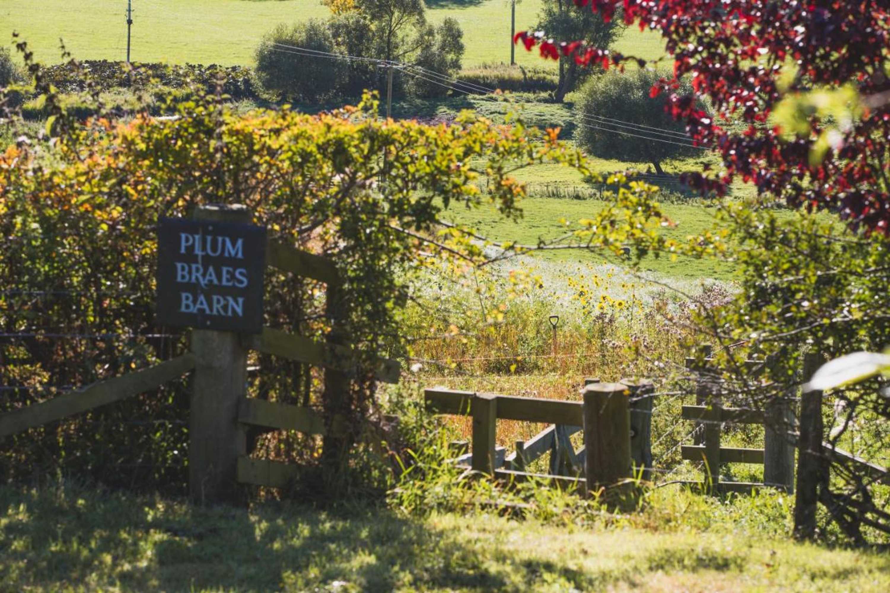 Gift card for Plumtree Cottage