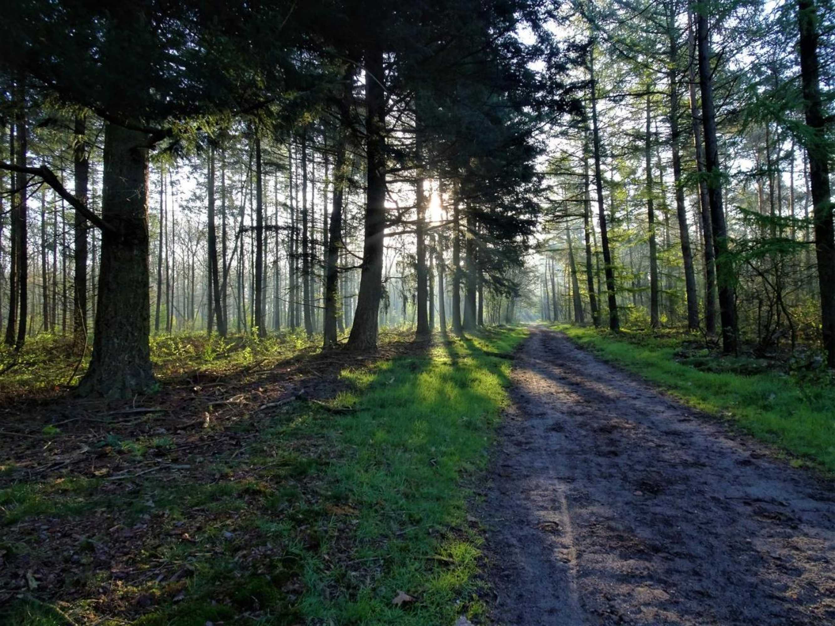 Gift card for Chalet Reewold