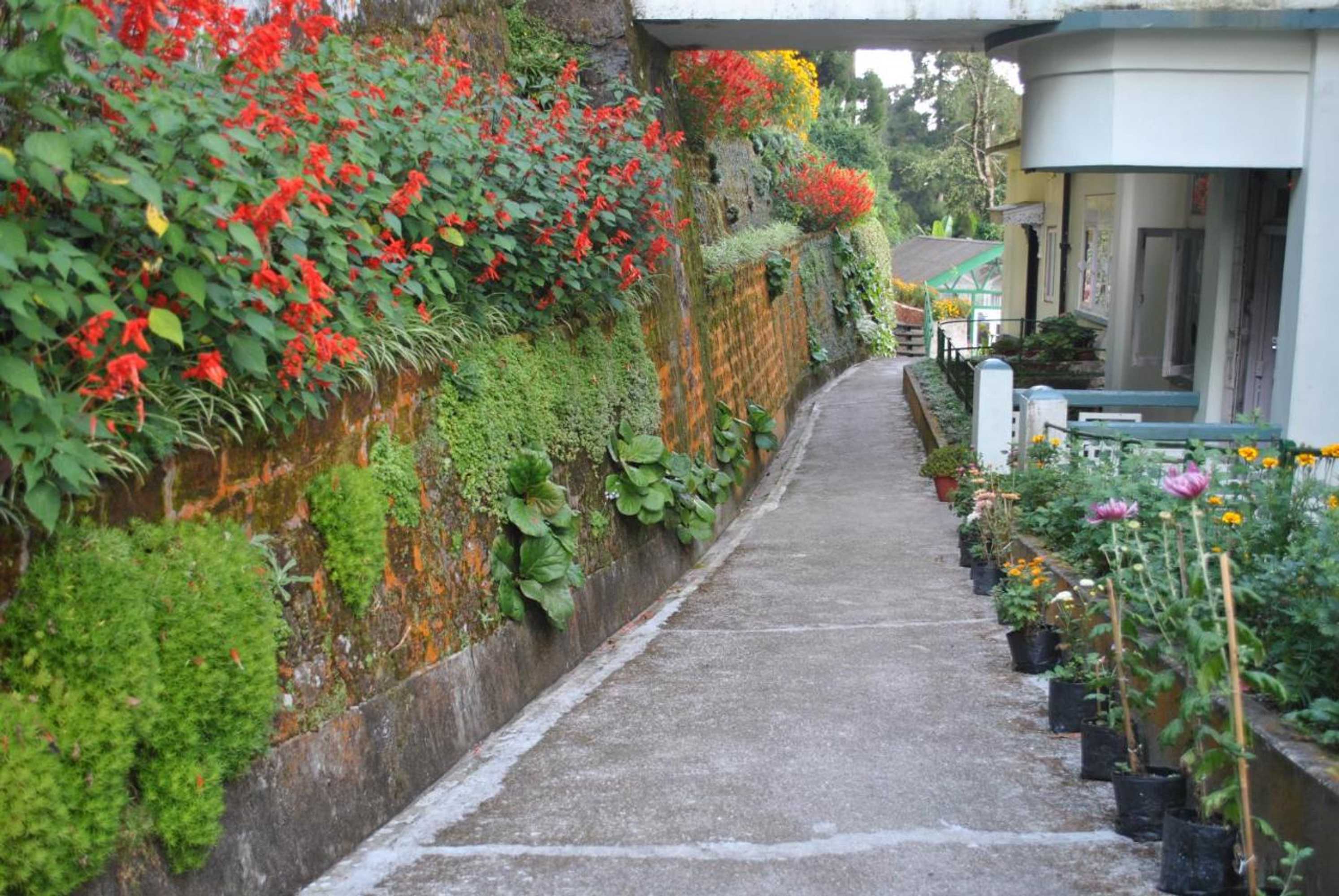 Gift card for Central Gleneagles Heritage Resort Former Bungalow of Ex-Tata Chairman Russi Mody The Mall Road Darjeeling Gift card for Central Gleneagles Heritage Resort Former Bungalow of Ex-Tata Chairman Russi Mody The Mall Road Darjeeling