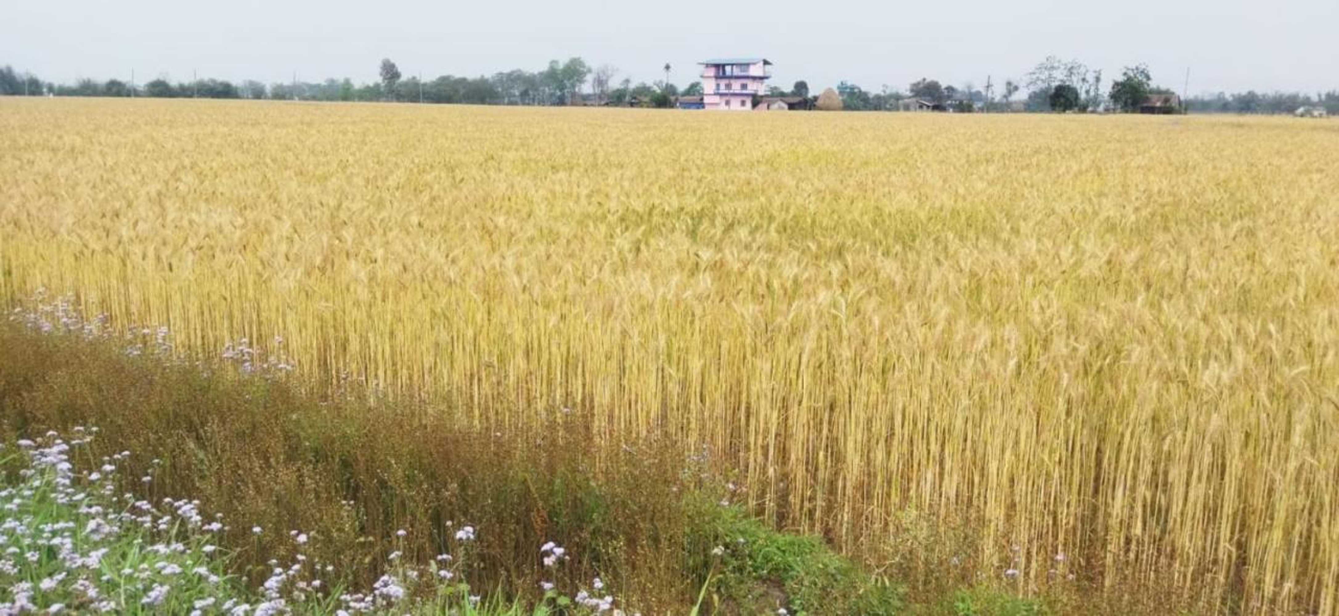 Gift card for Sauraha Holiday Home Riverside